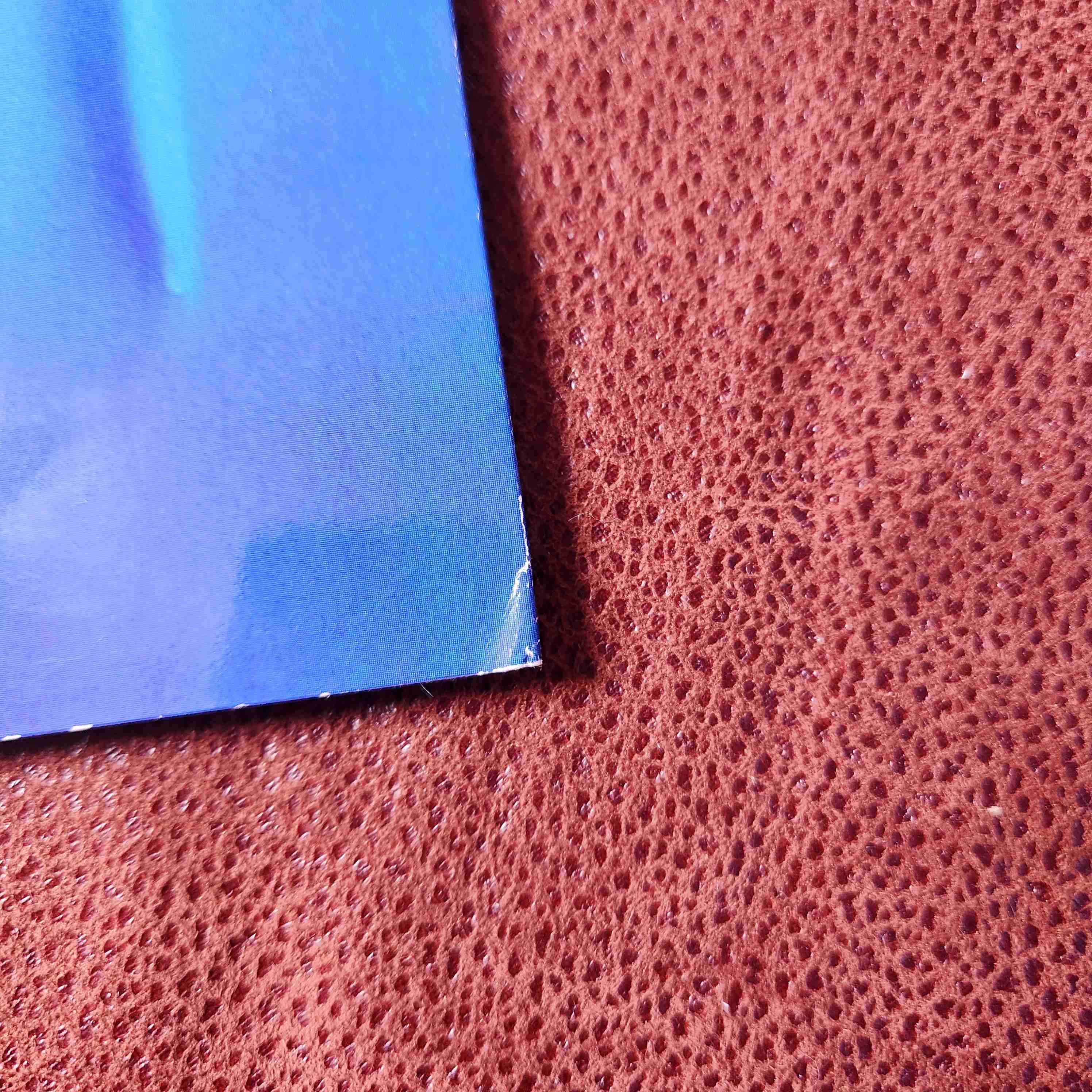 PORTAFOLIO DE LITOGRAFIAS LA SIRENITA 1999🧜🏼‍♂️🧜🏽‍♀️🦀🐠 - miniatura 6