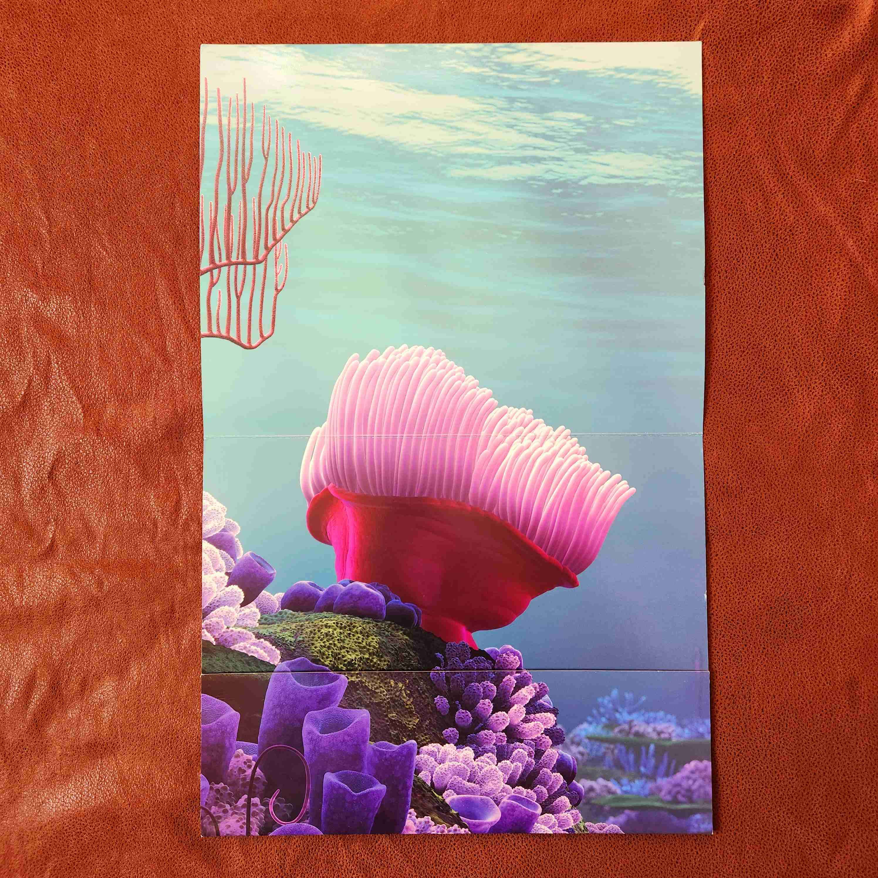 LITOGRAFIA  disney BUSCANDO A NEMO 2003 🐟🐠🌊 - miniatura 5