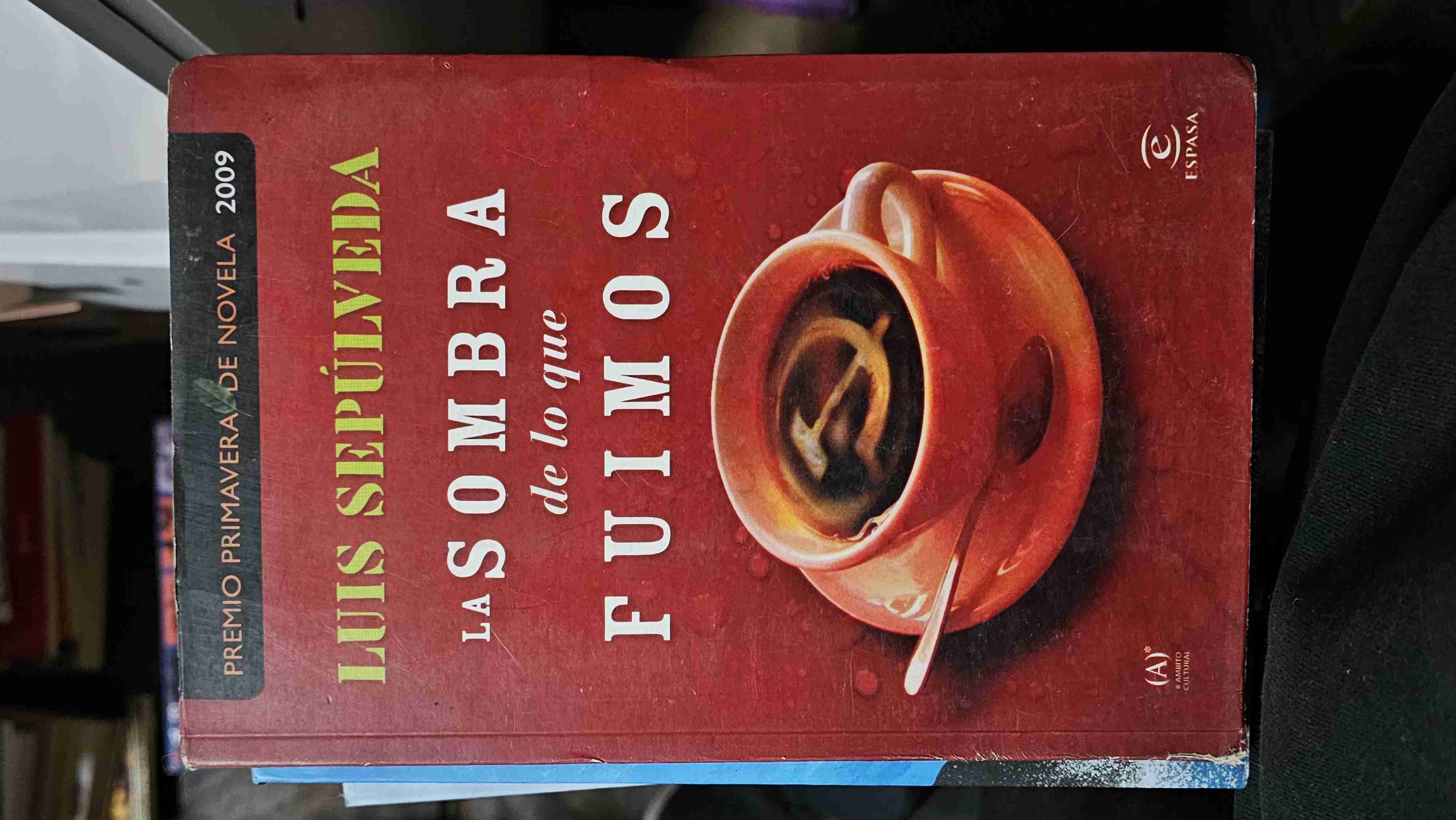 Libro 'La sombra de lo que fuimos'