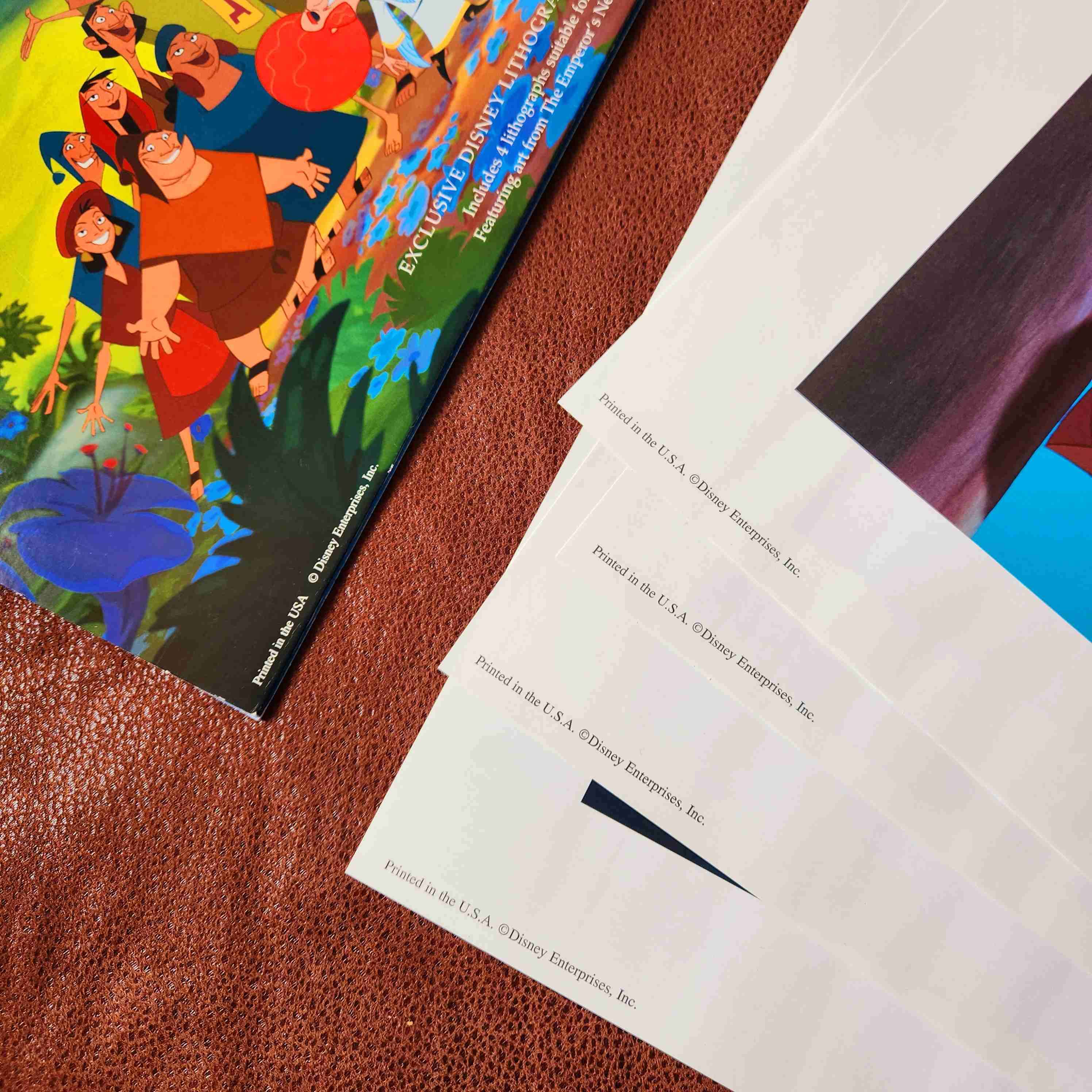 LITOGRAFIA DISNEY KUZCO 2000 🦙⛰️🧪 - miniatura 6