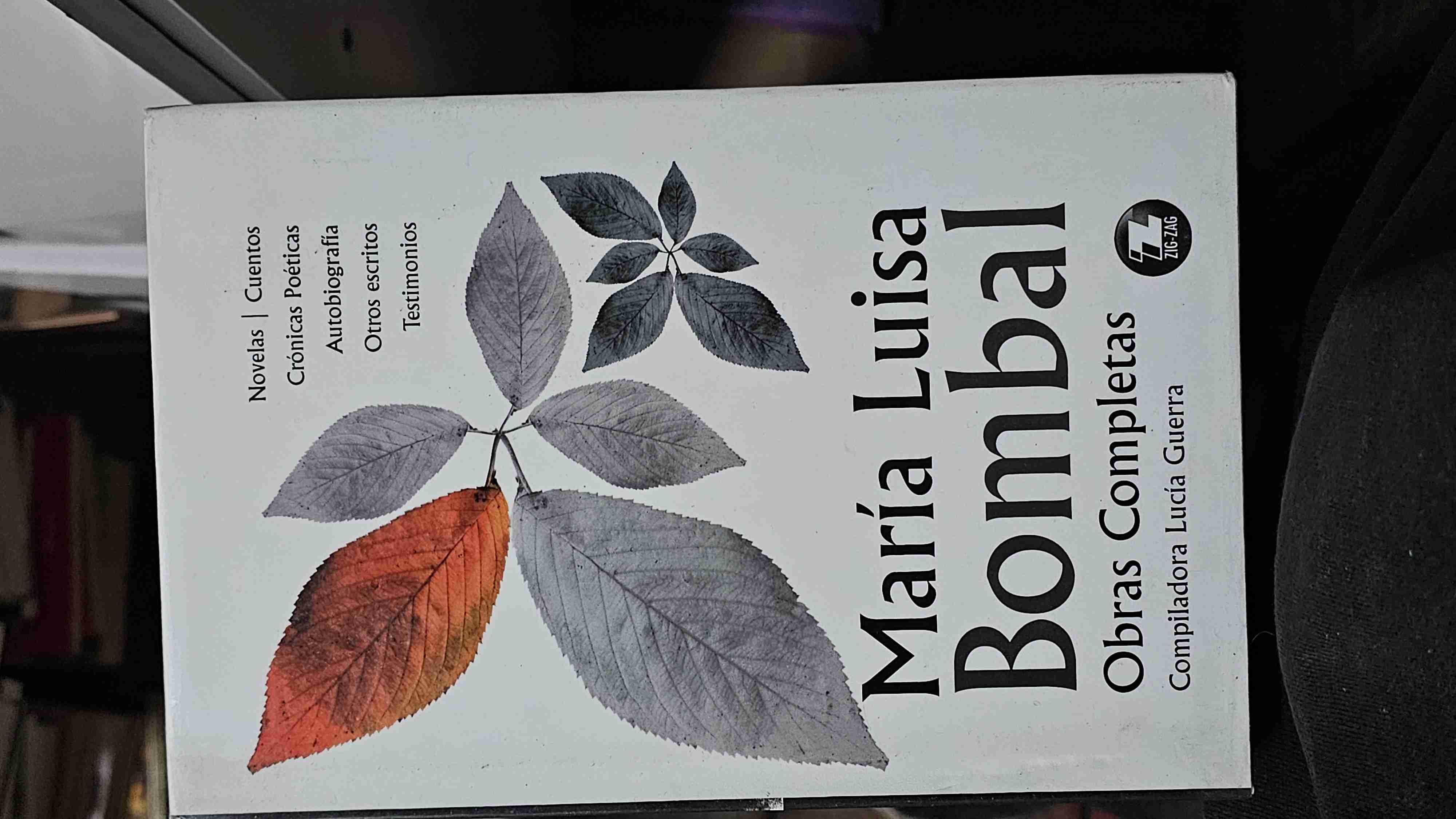Obras Completas de María Luisa Bombal