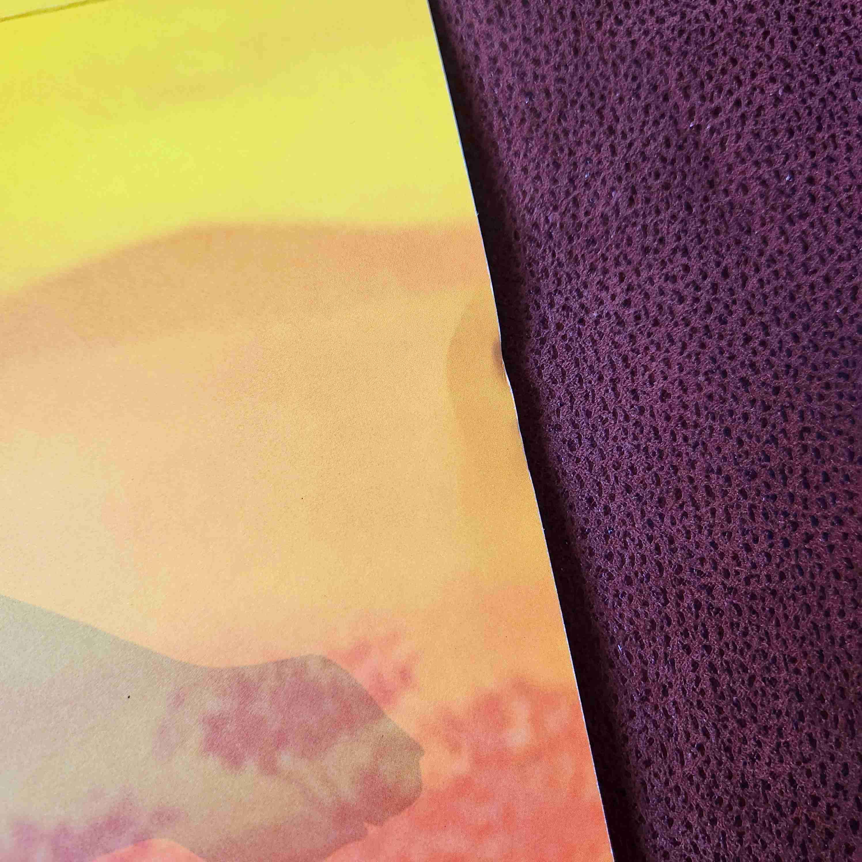 LITOGRAFIA disney EDICIÓN ESPECIAL REY LEÓN 🦁 - miniatura 5