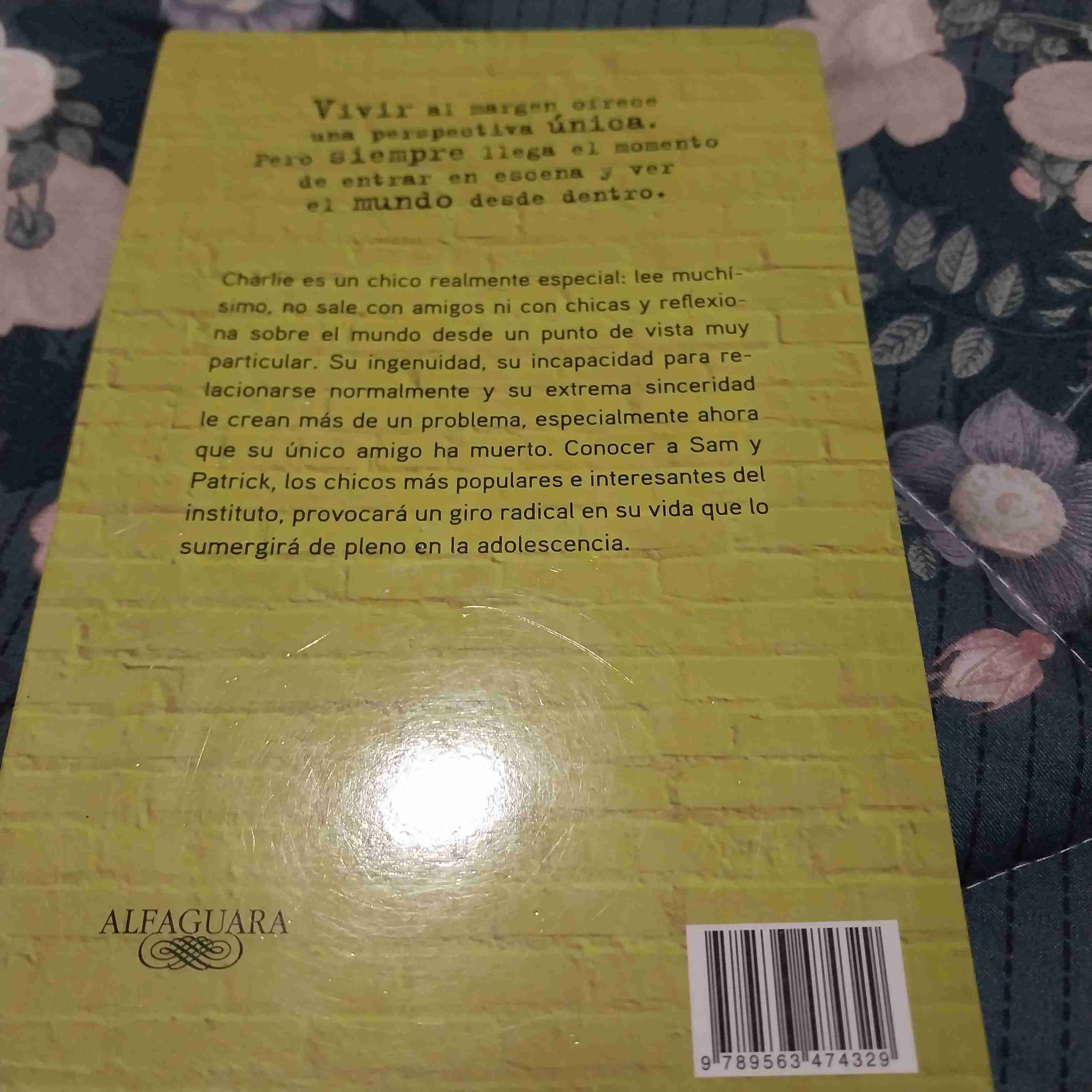 Las ventajas de ser invisible - miniatura 2