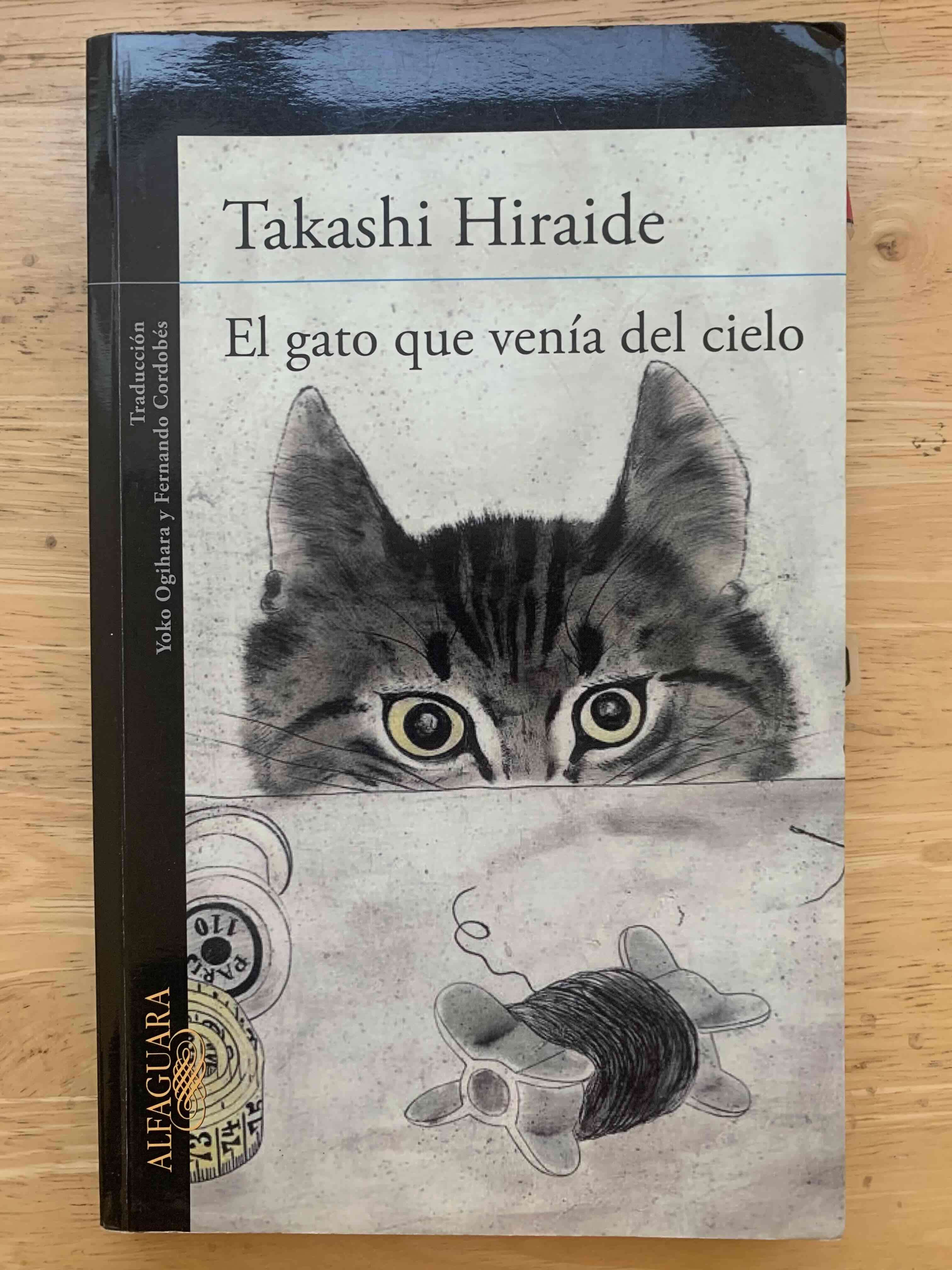 Libro 'El gato que venía del cielo' - miniatura 1