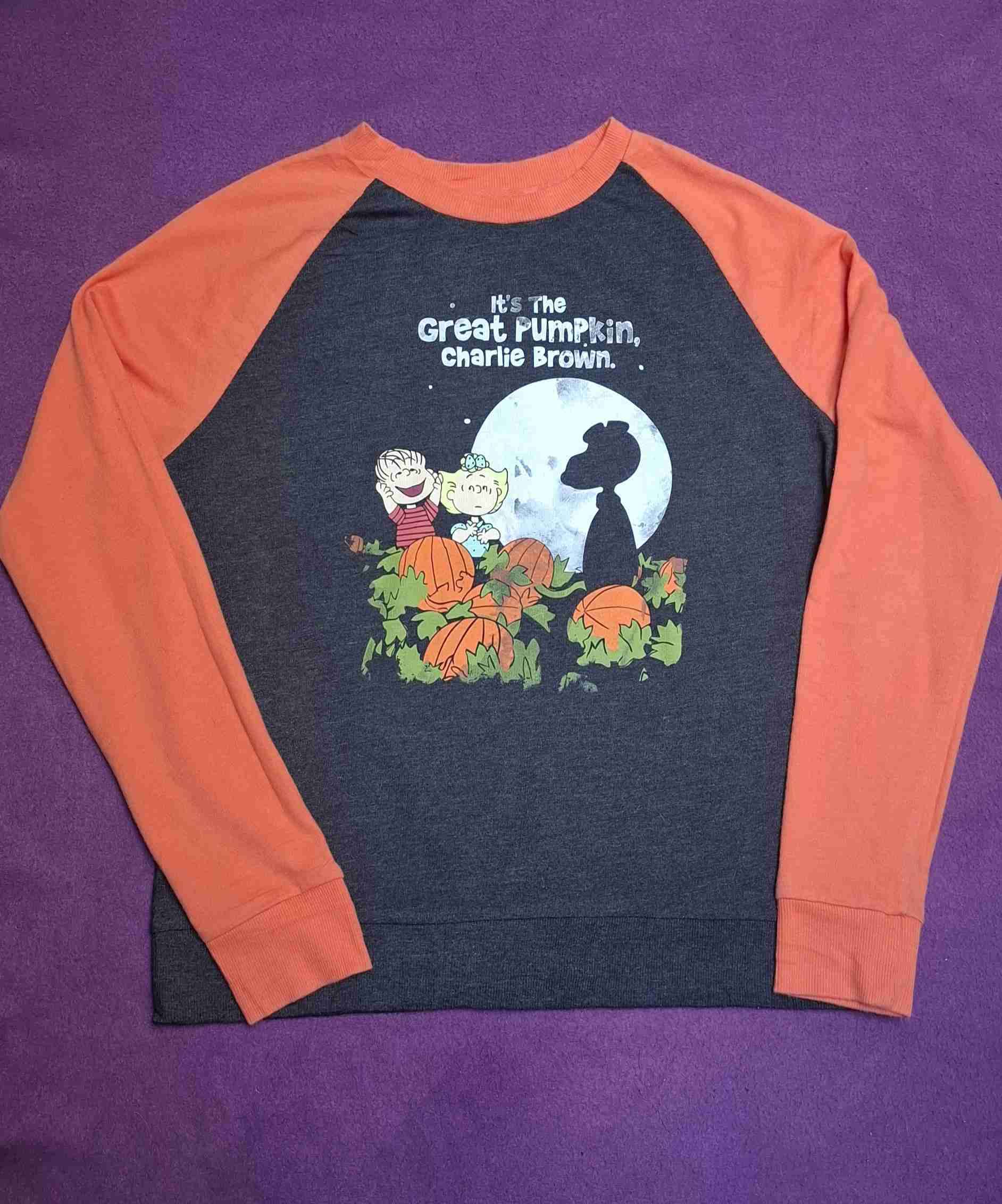 Polera Snoopy Charlie Brown original S - miniatura 1
