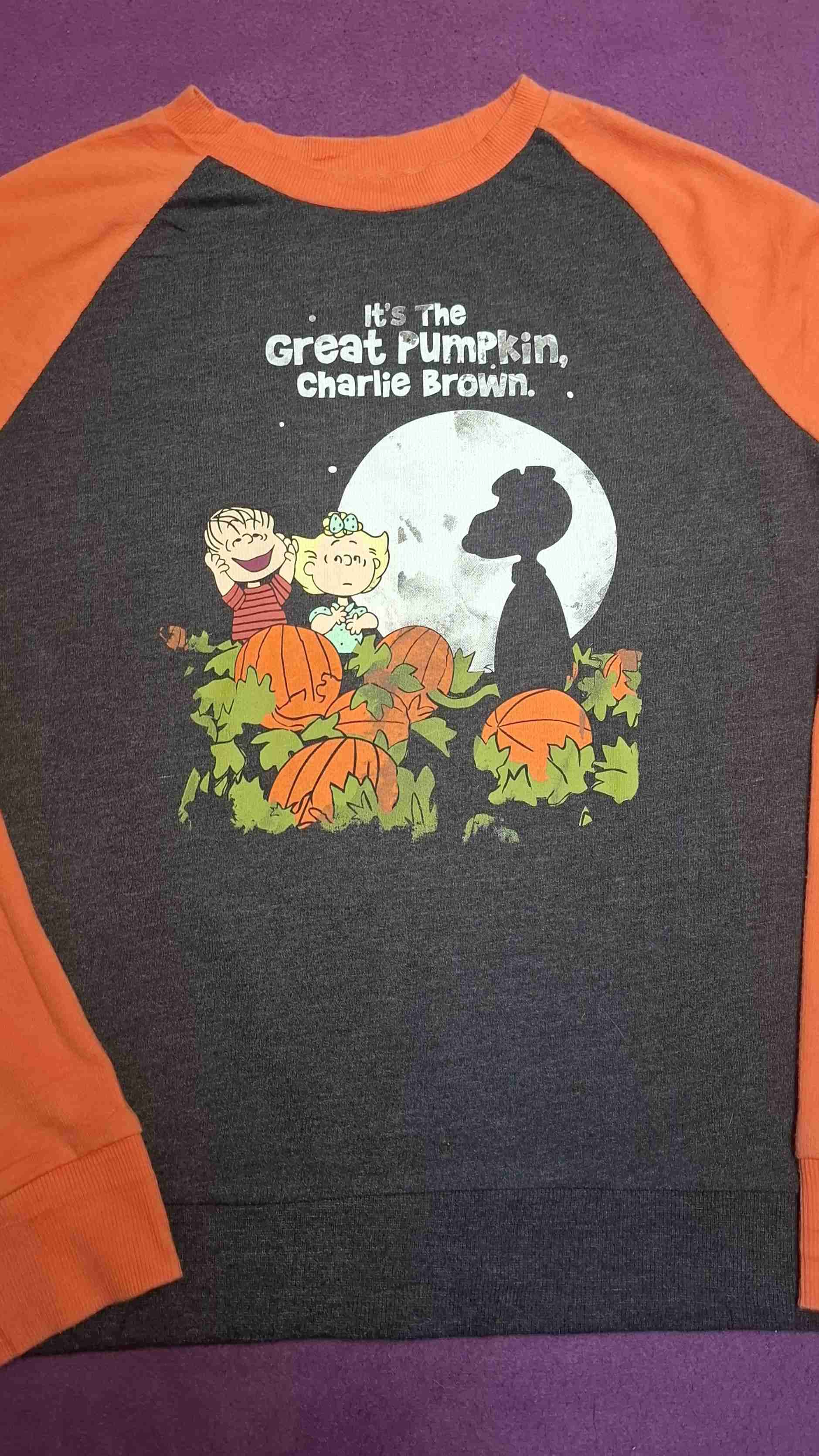 Polera Snoopy Charlie Brown original S - miniatura 3