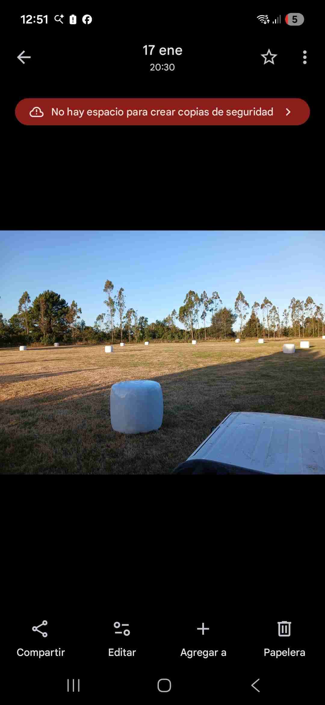 Bolo de pasto natural 2026