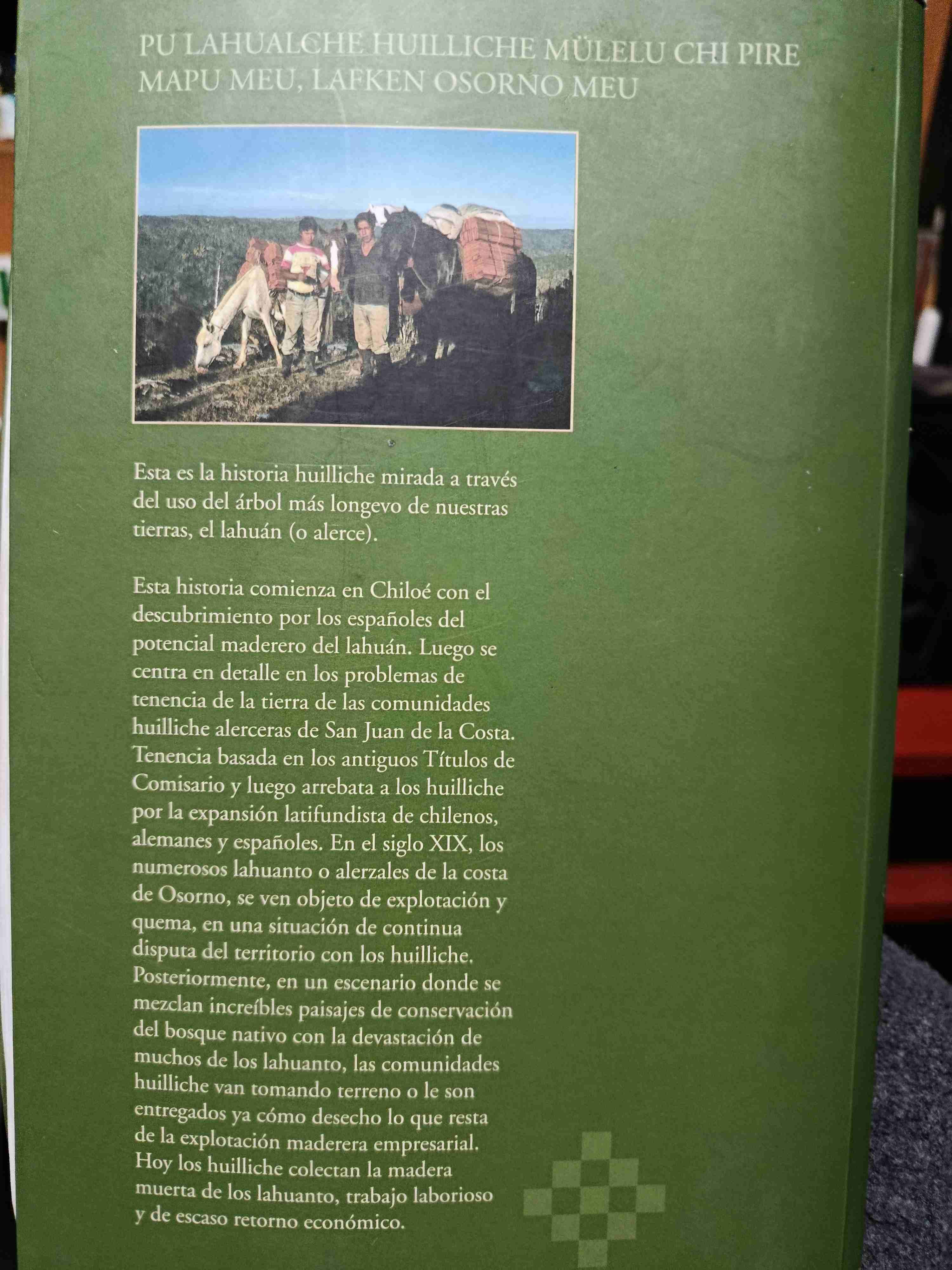 Alerceros Huilliche de Osorno - Libro - miniatura 2