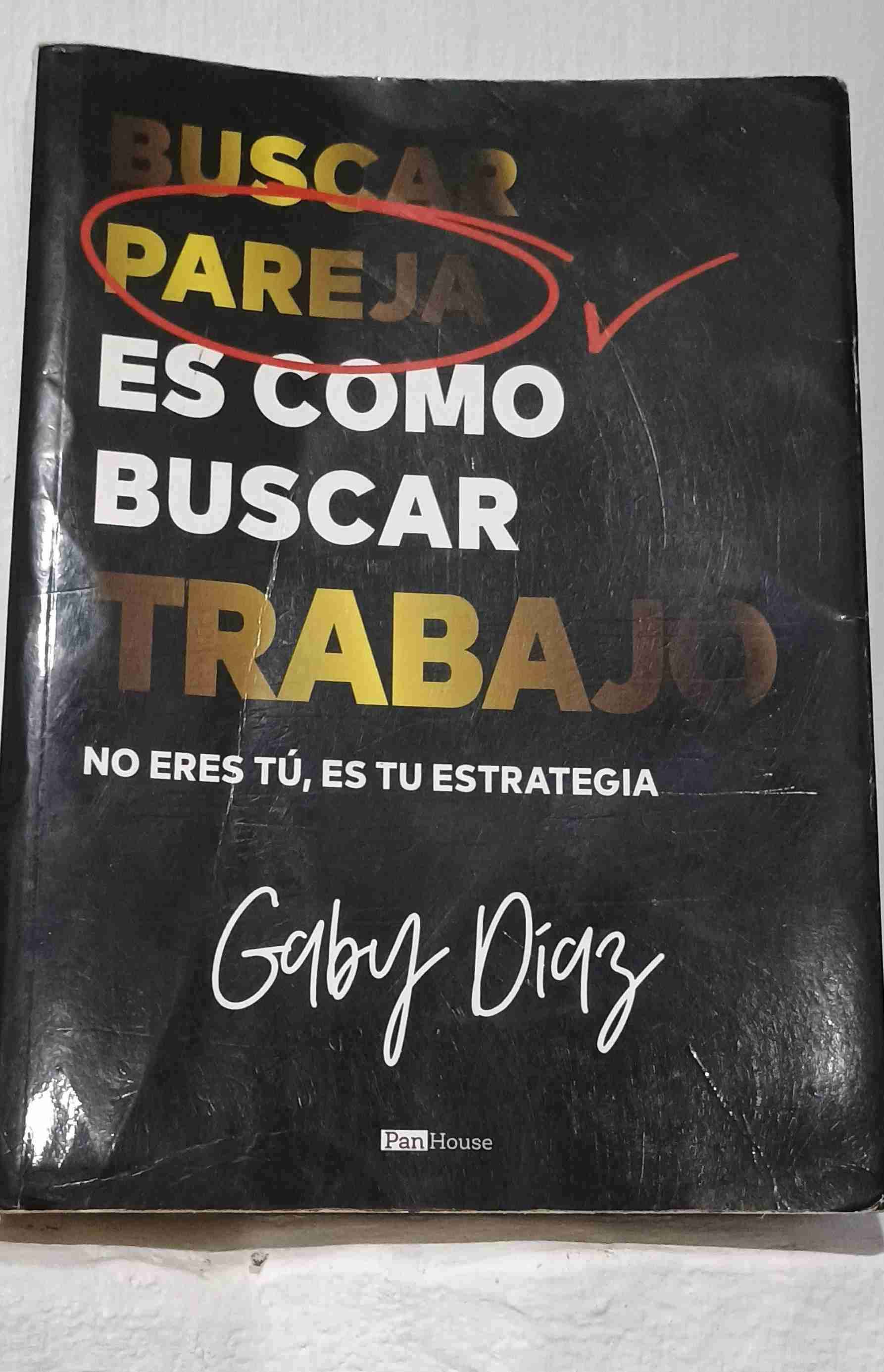 Libro Buscar Pareja - Gaby Diaz
