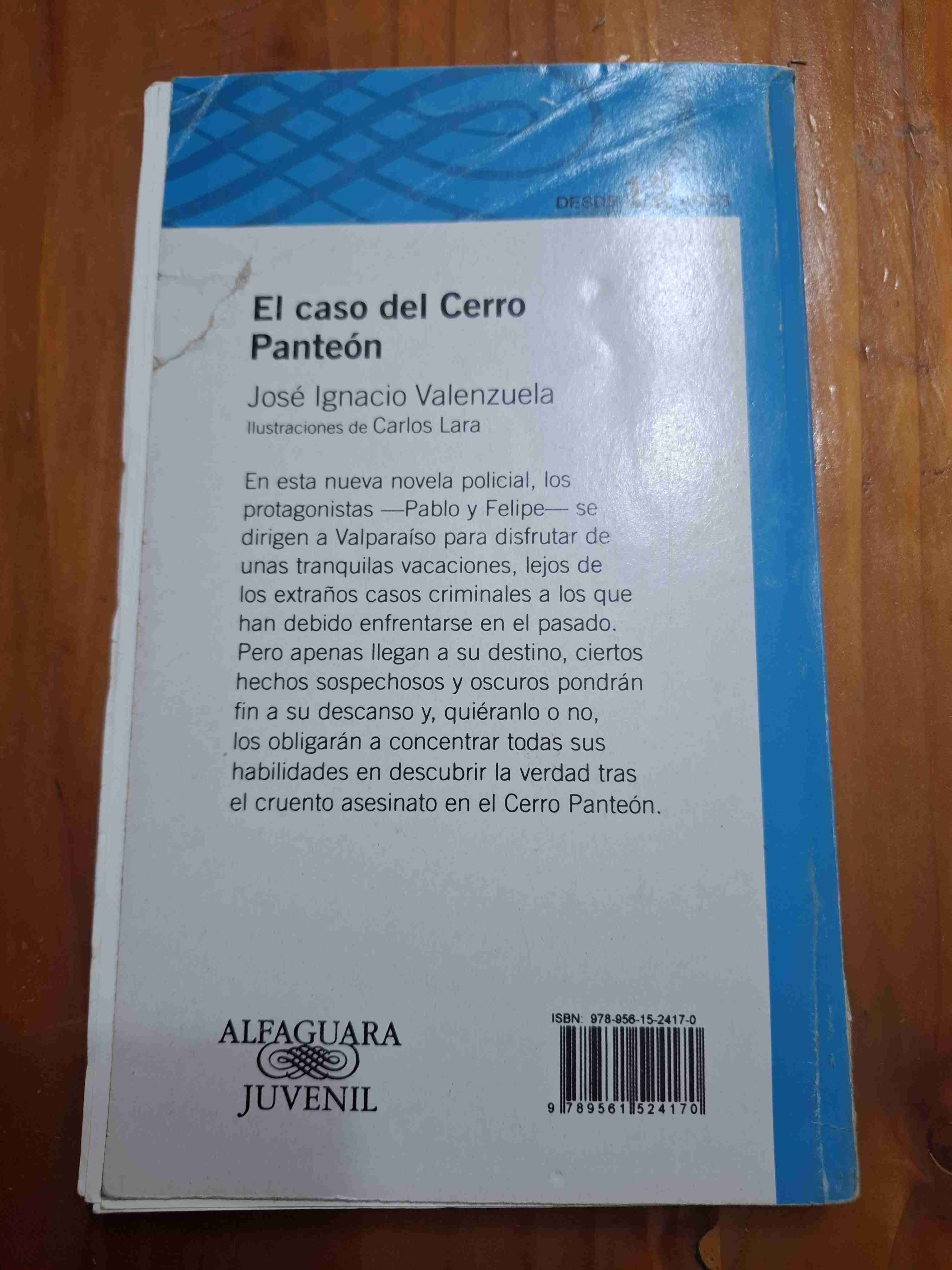 Libro 'El caso del Cerro Panteón' - miniatura 2