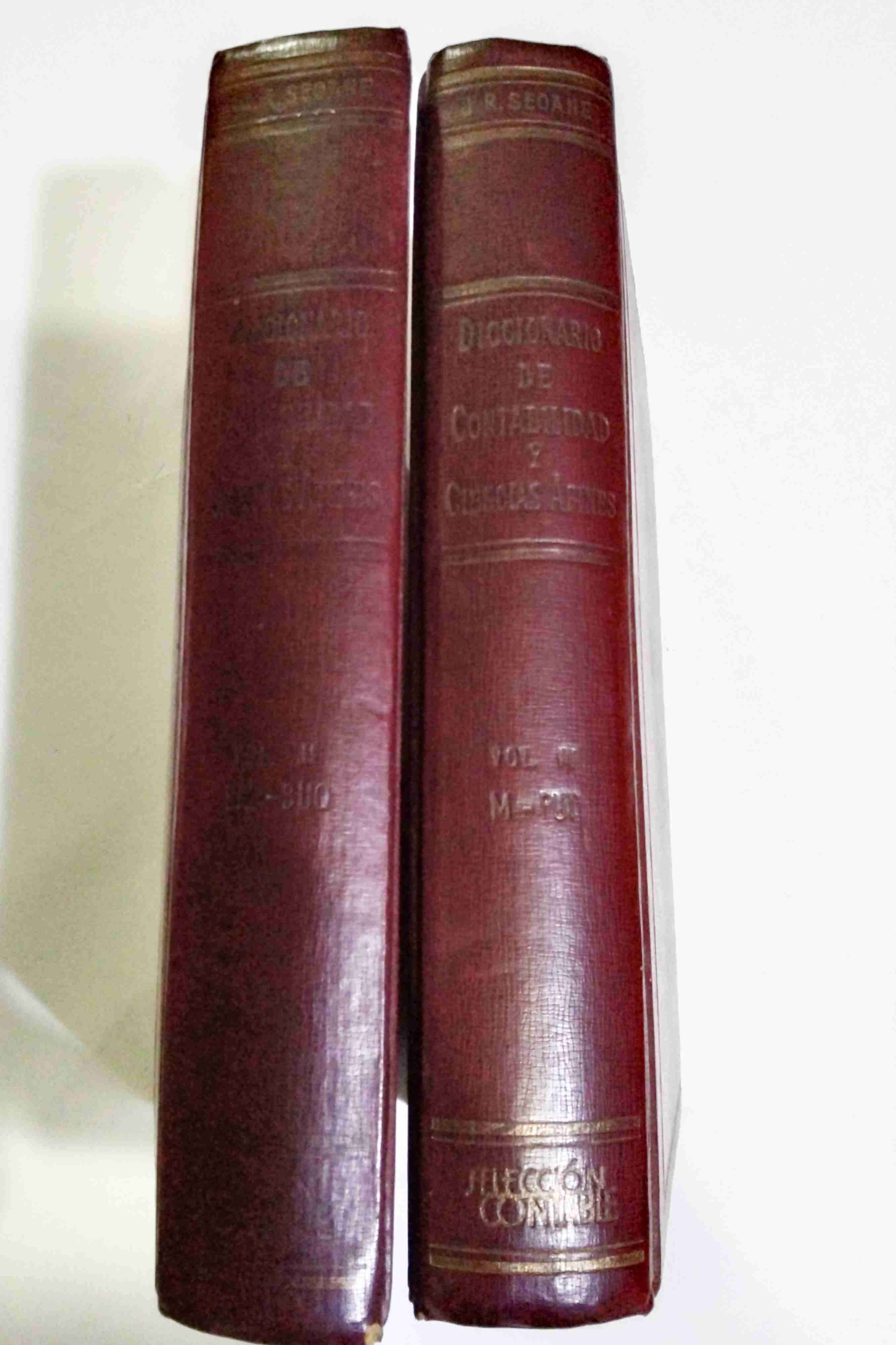 Pack de dos diccionarios de contabilidad - miniatura 3