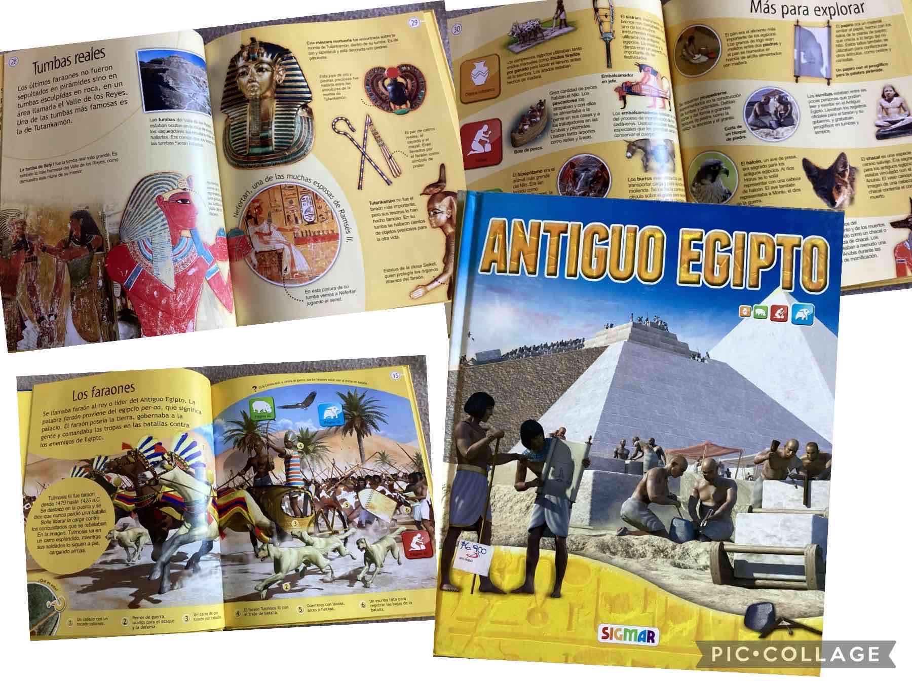 Libro Antiguo Egipto ilustrado