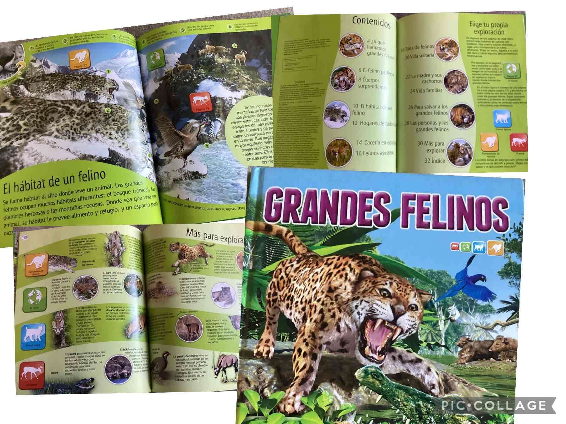 Libro Grandes Felinos