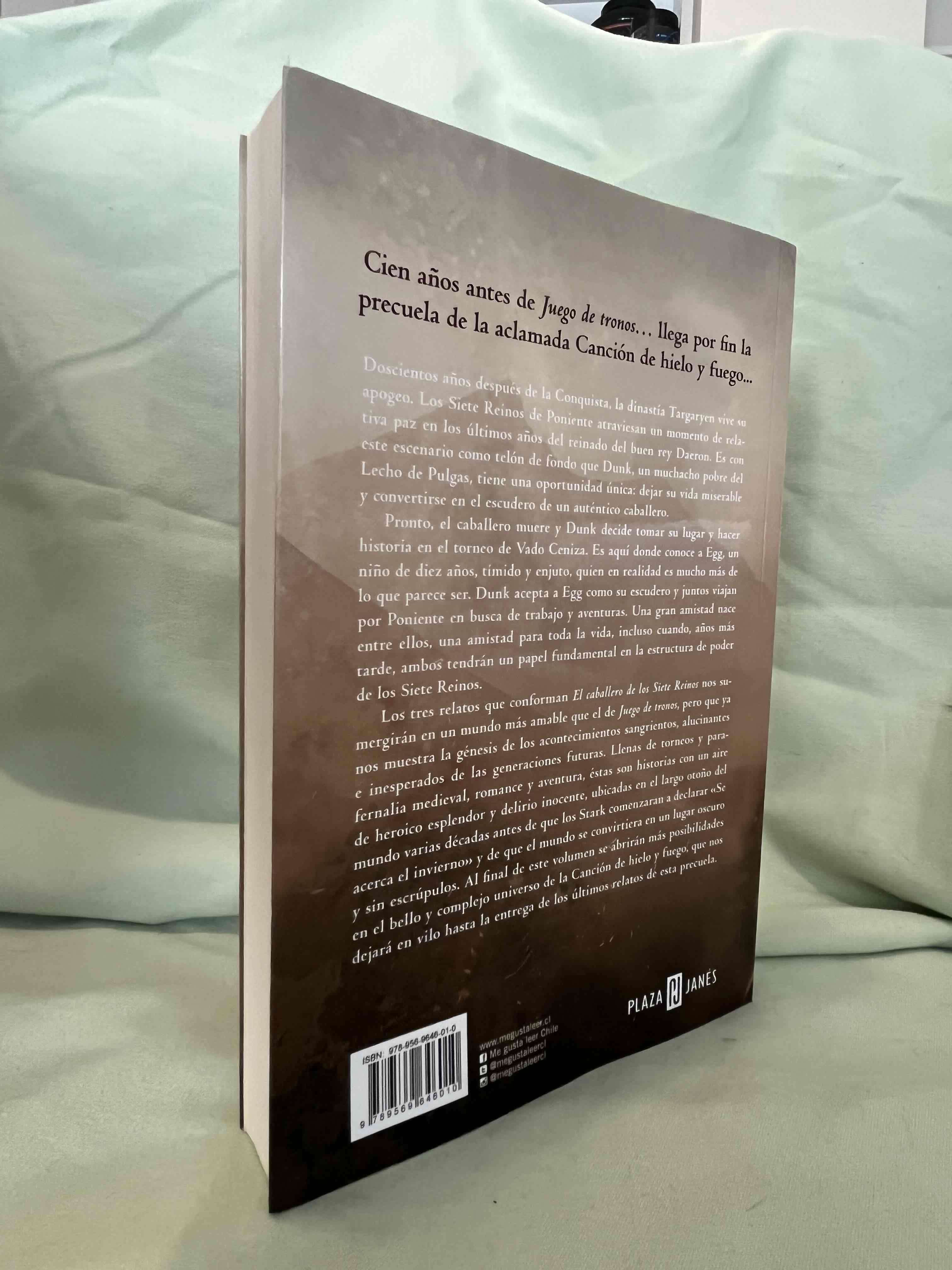 El caballero de los siete reinos - miniatura 2