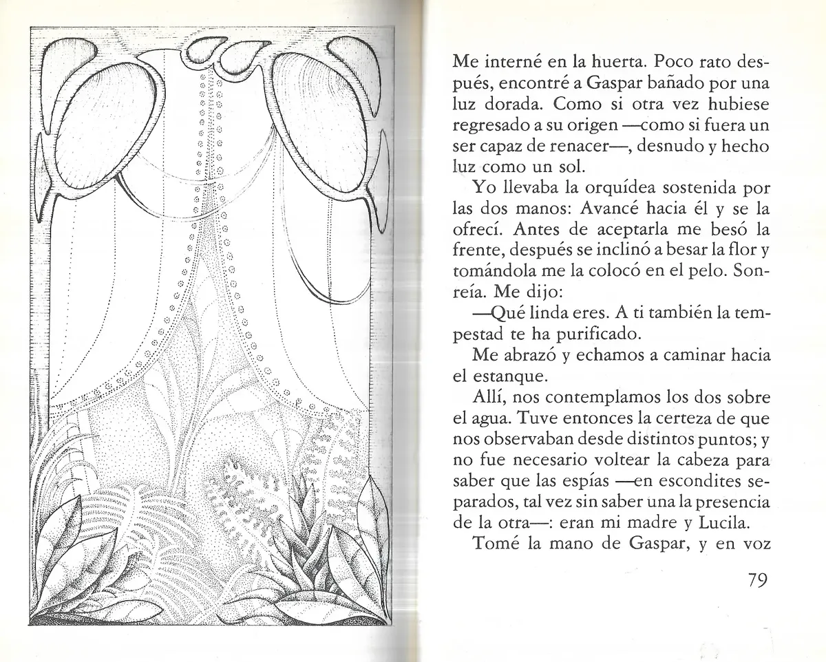 Libro El Hombre De Los Hongos / Sergio Galindo - miniatura 3