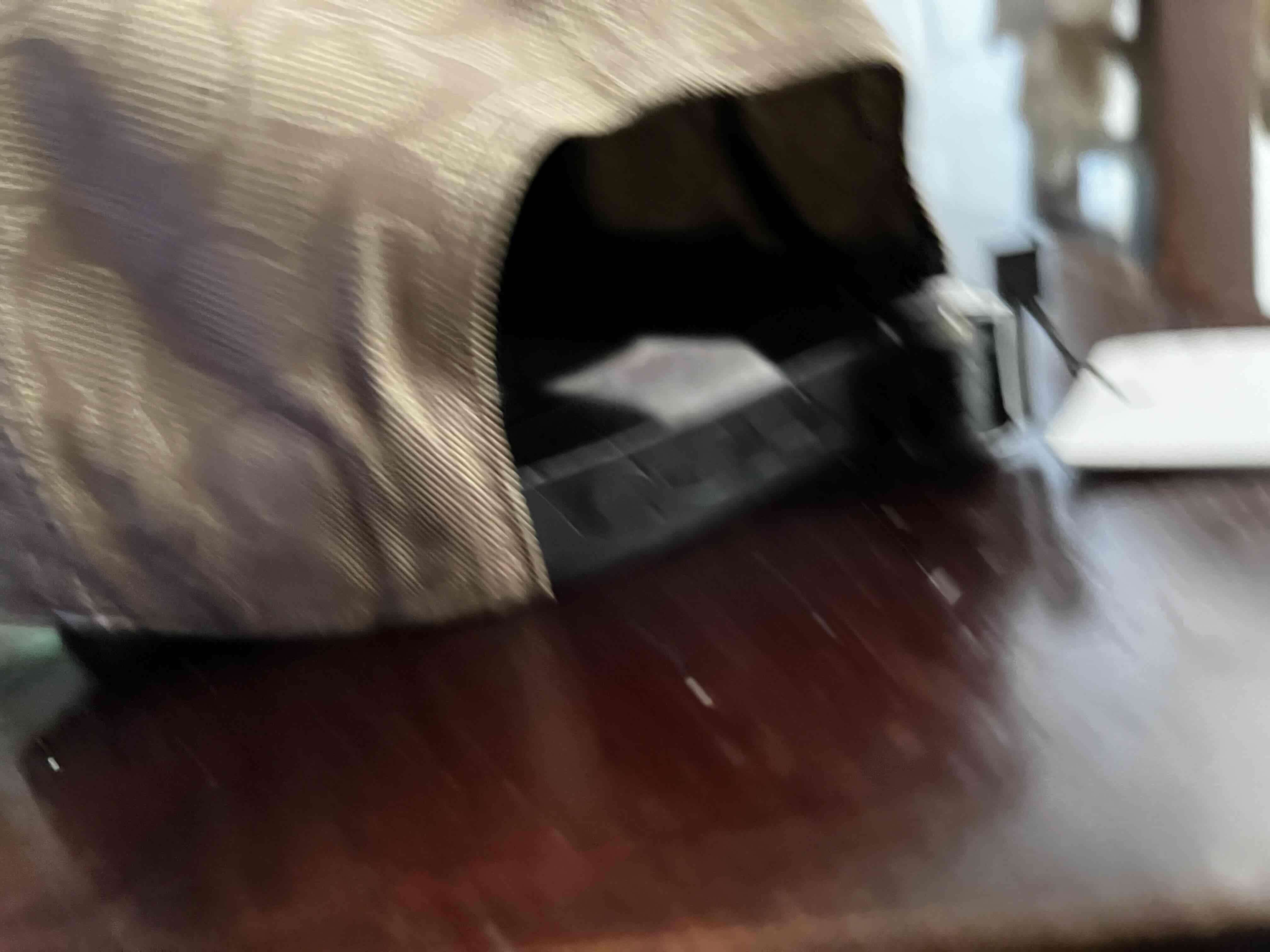 Gorra beige con diseño monograma - miniatura 2