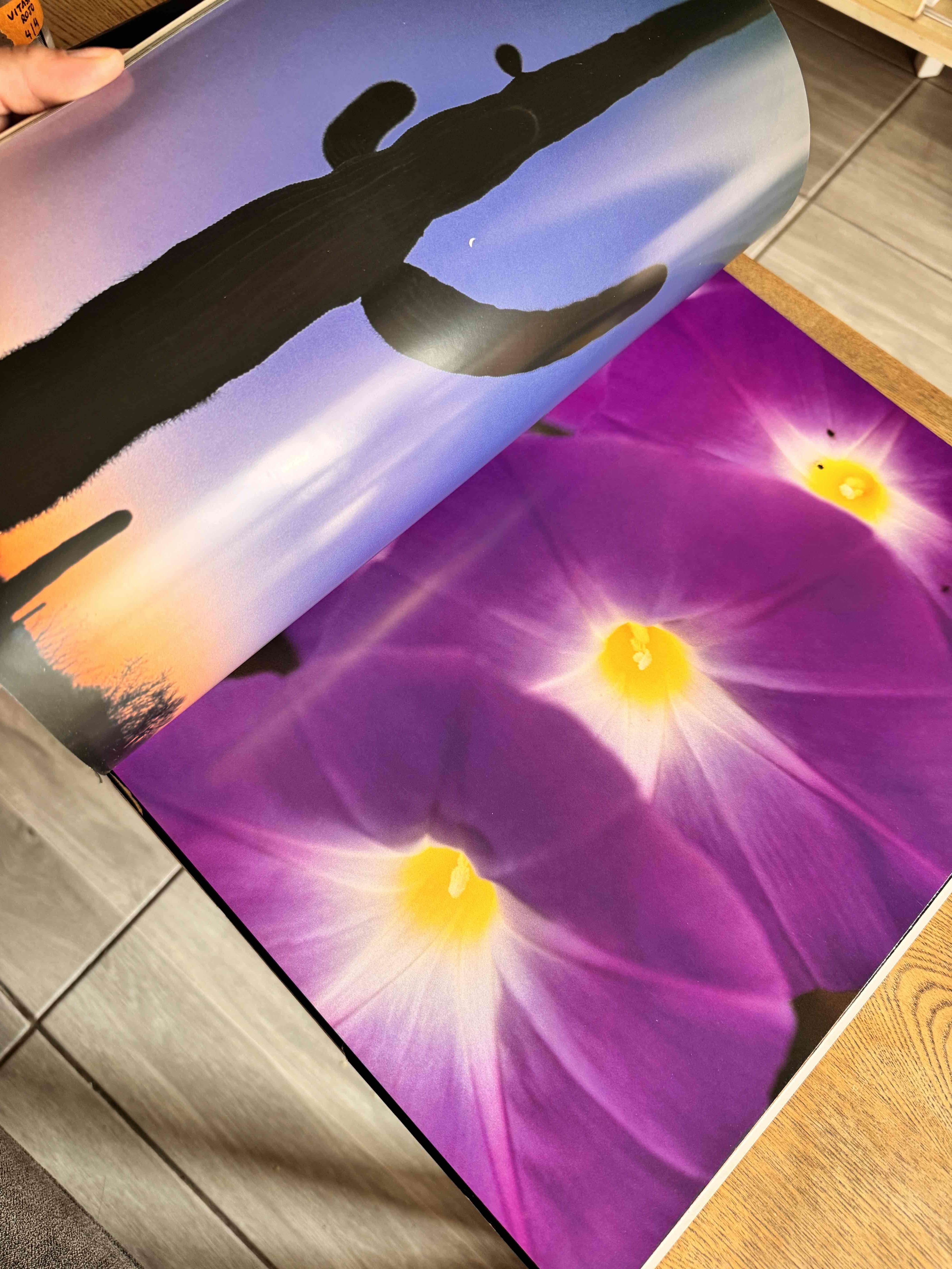 Libro México Visto y Andado - miniatura 4