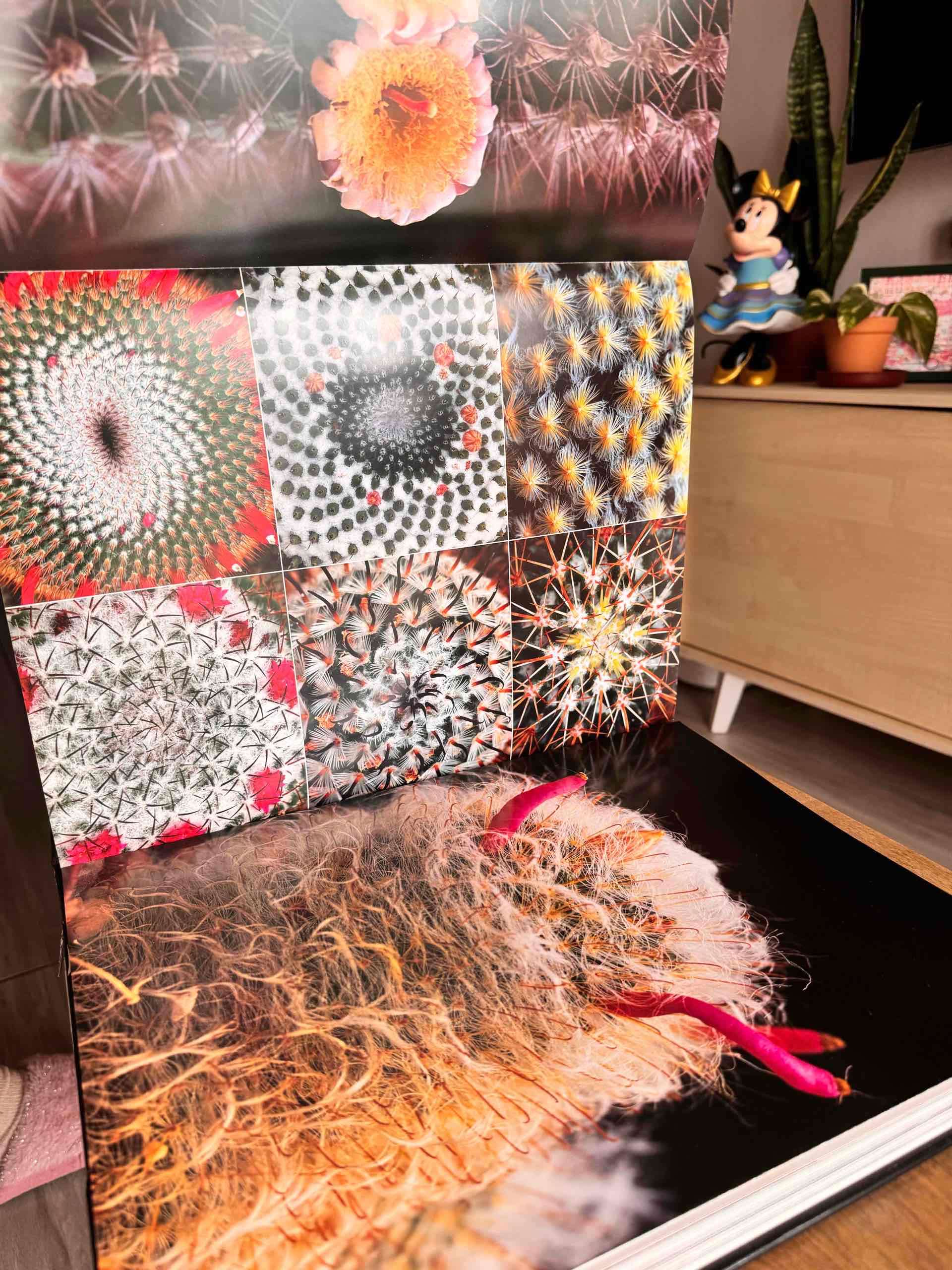 Libro México Visto y Andado - miniatura 5