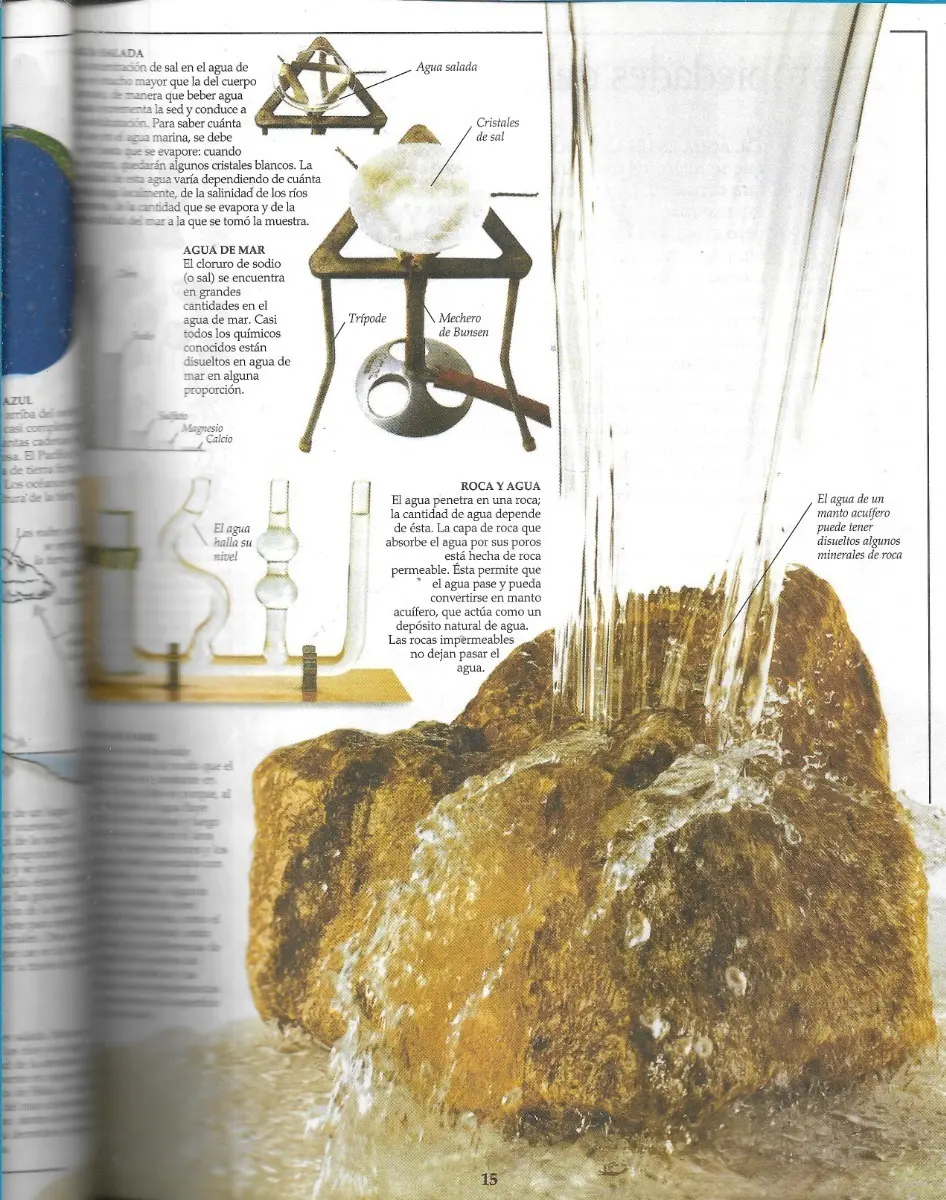 La Tierra / Susanna Van Rose - miniatura 3