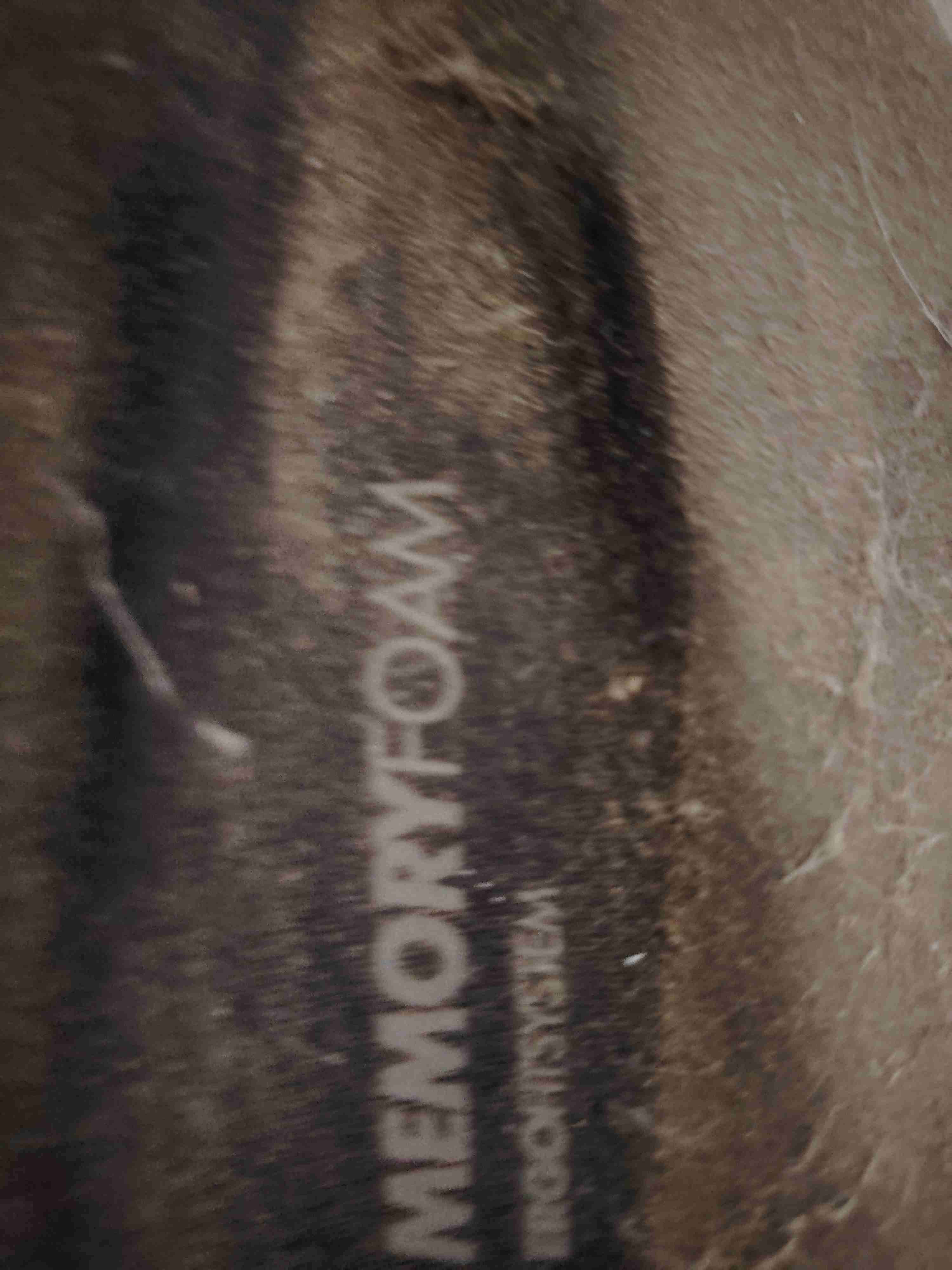 Bicicleta Bianchi aluminio - miniatura 3