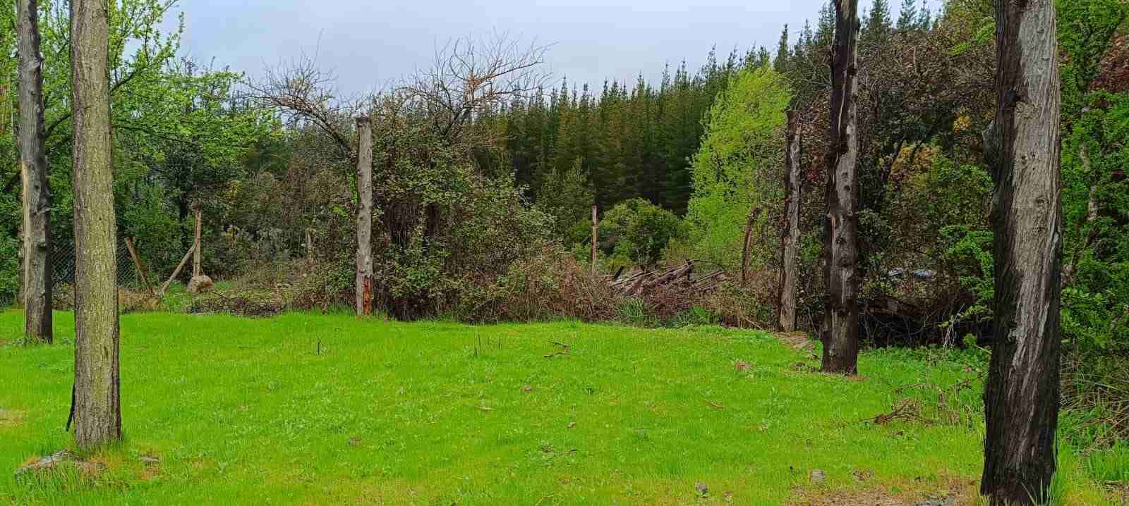 Se vende hermosa Parcela Quinamavida - miniatura 3