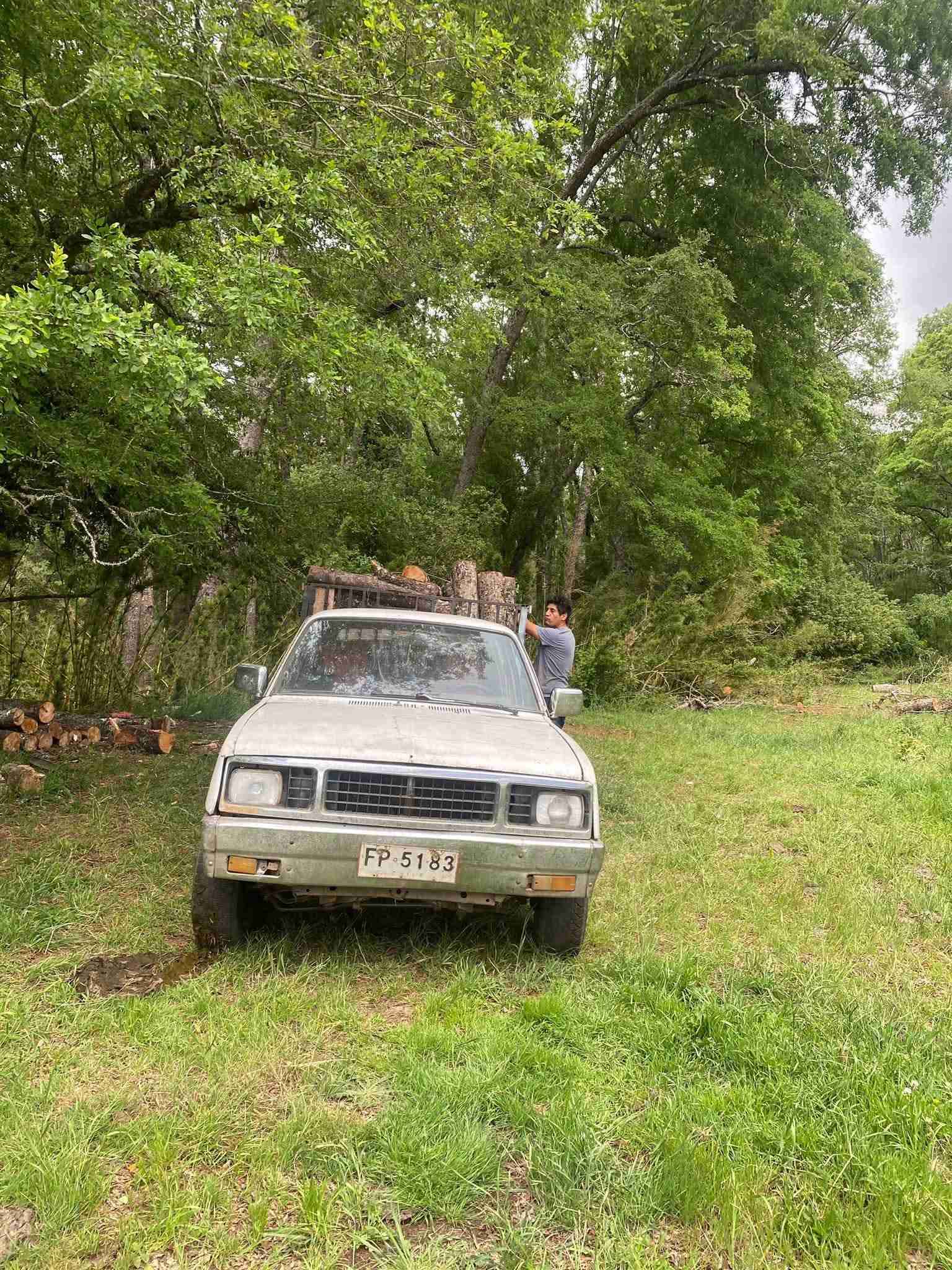 Camioneta Chevrolet - miniatura 3