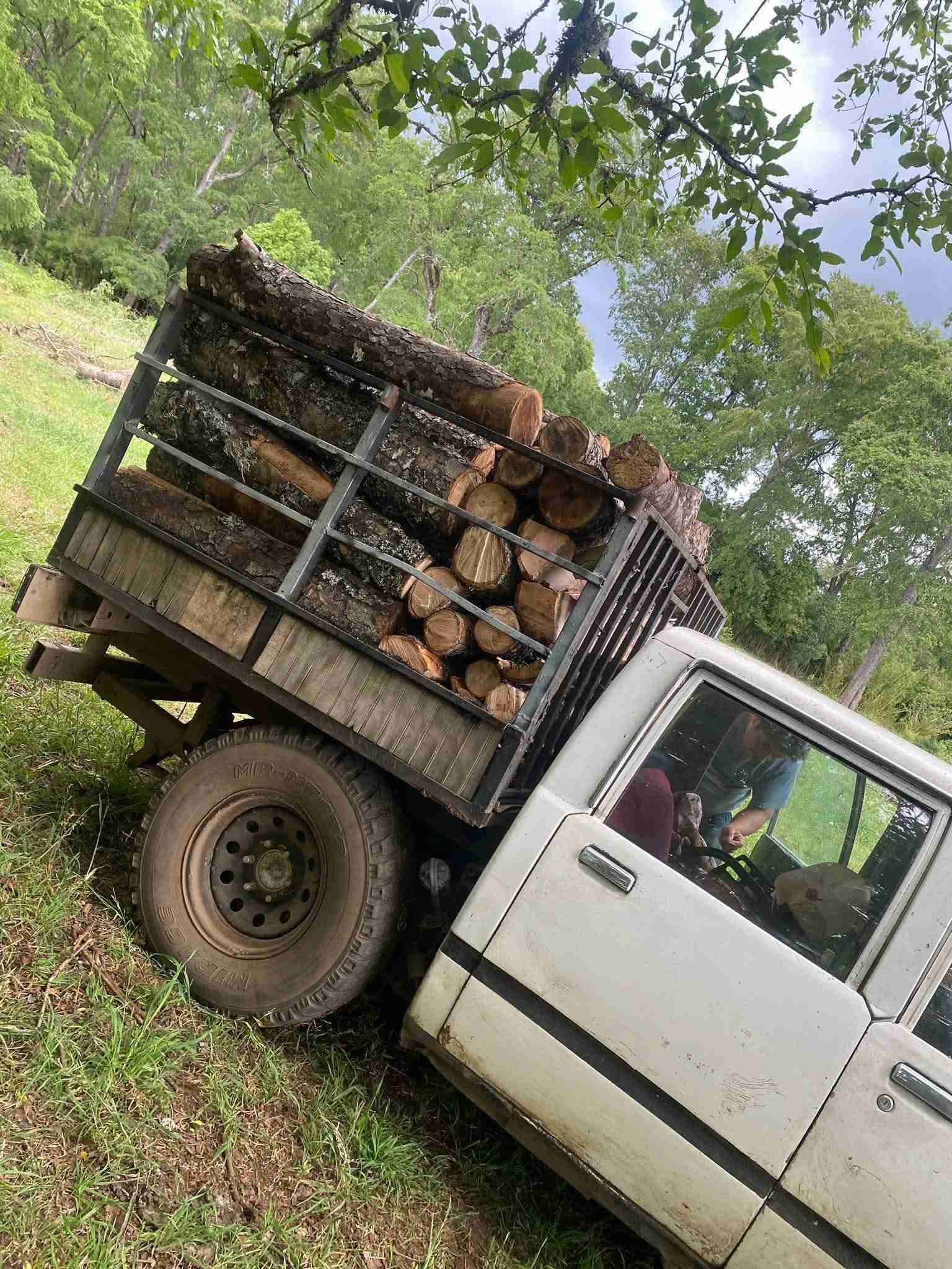 Camioneta Chevrolet - miniatura 5