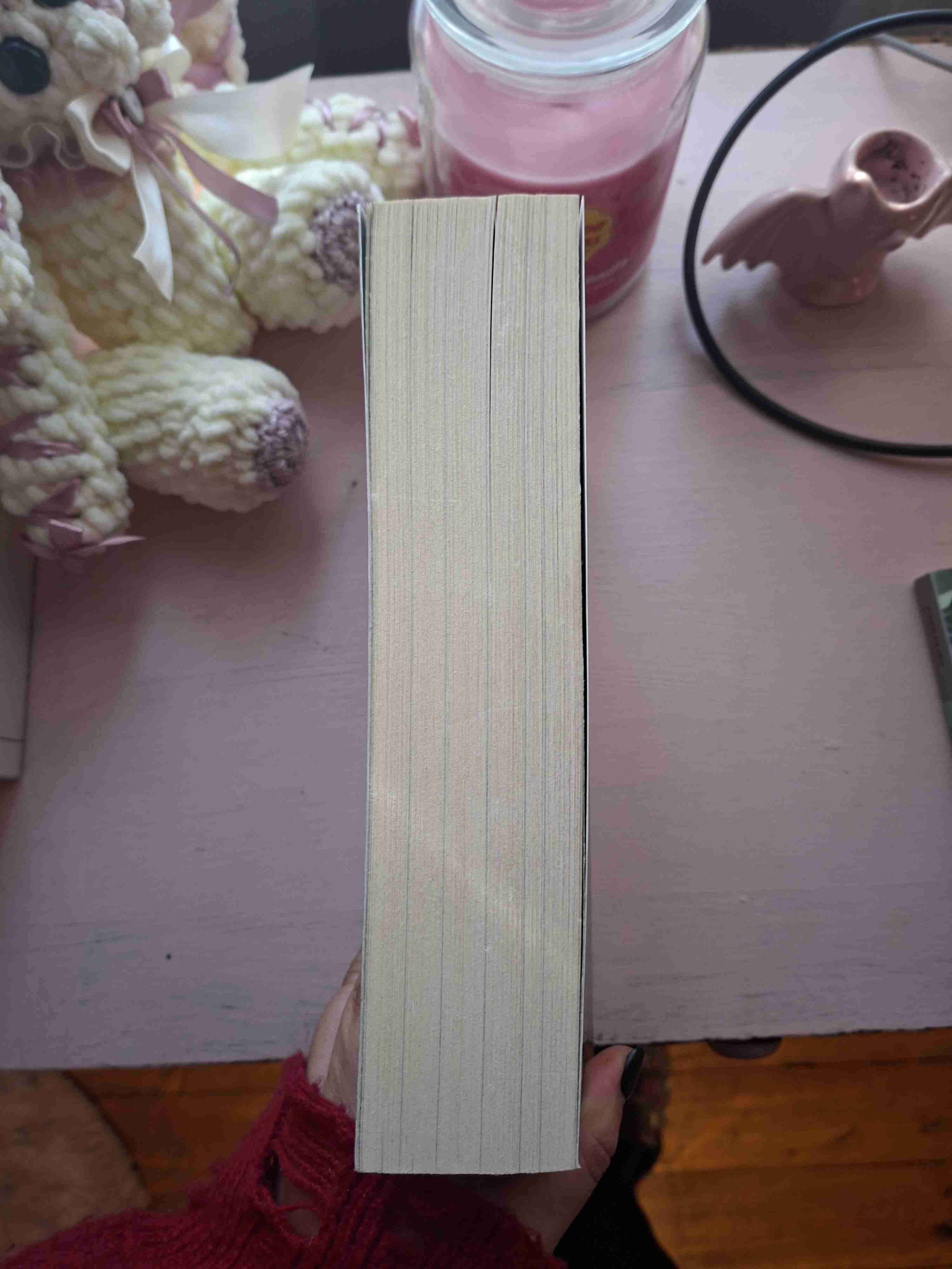 Libro 'the débiles thief' - miniatura 3