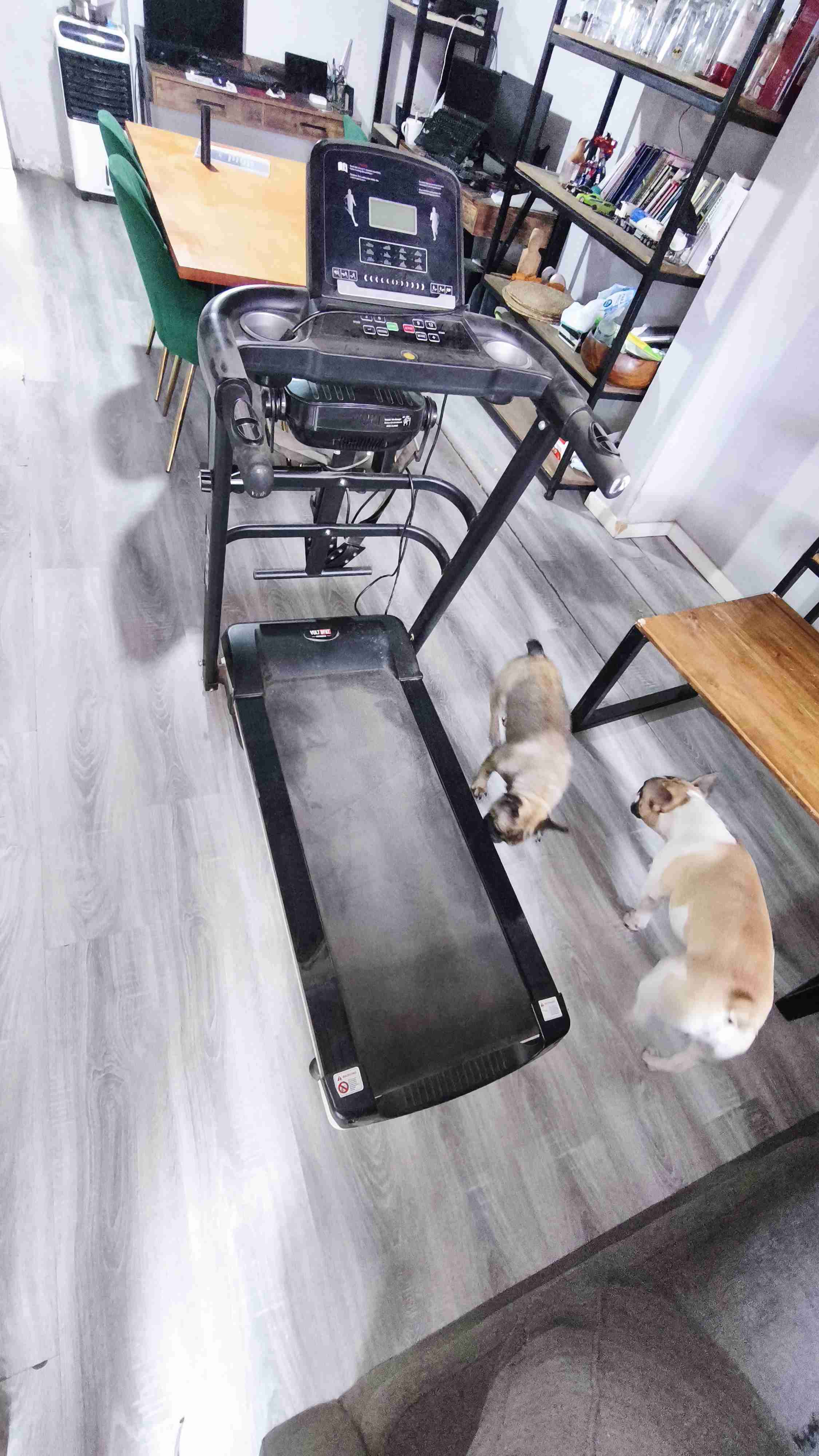 Caminadora plegable en buen estado - miniatura 4