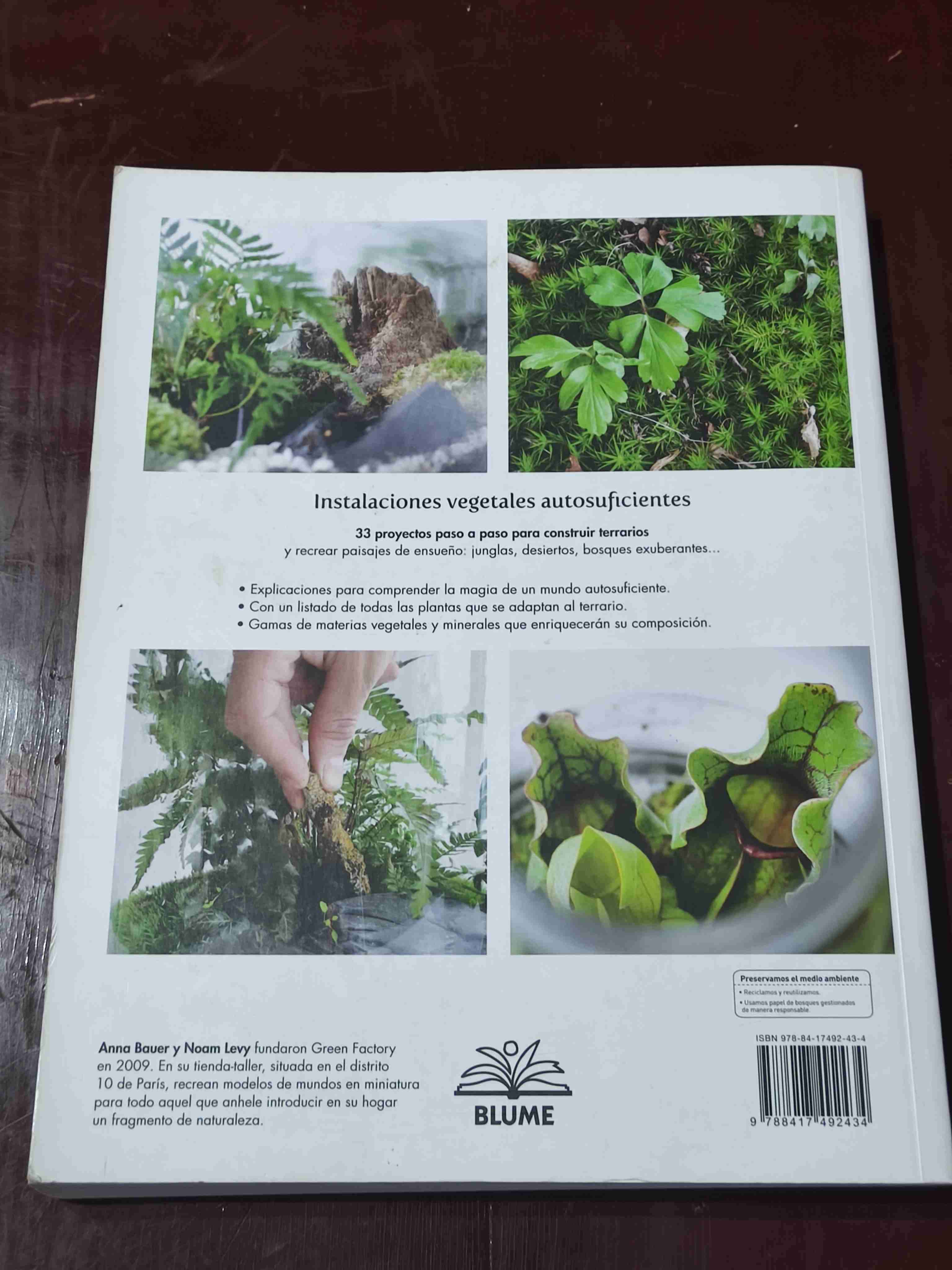 Libro 'Terrarios': 33 Mundos Vegetales - miniatura 2