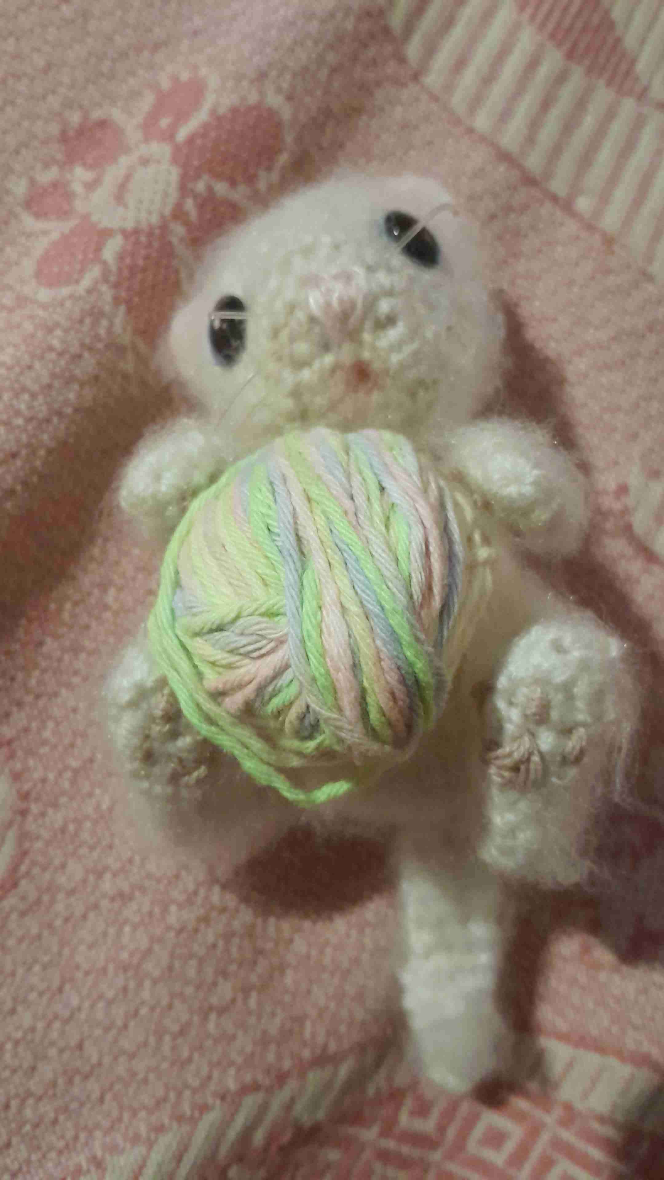 Gatito realistas en crochet - miniatura 4