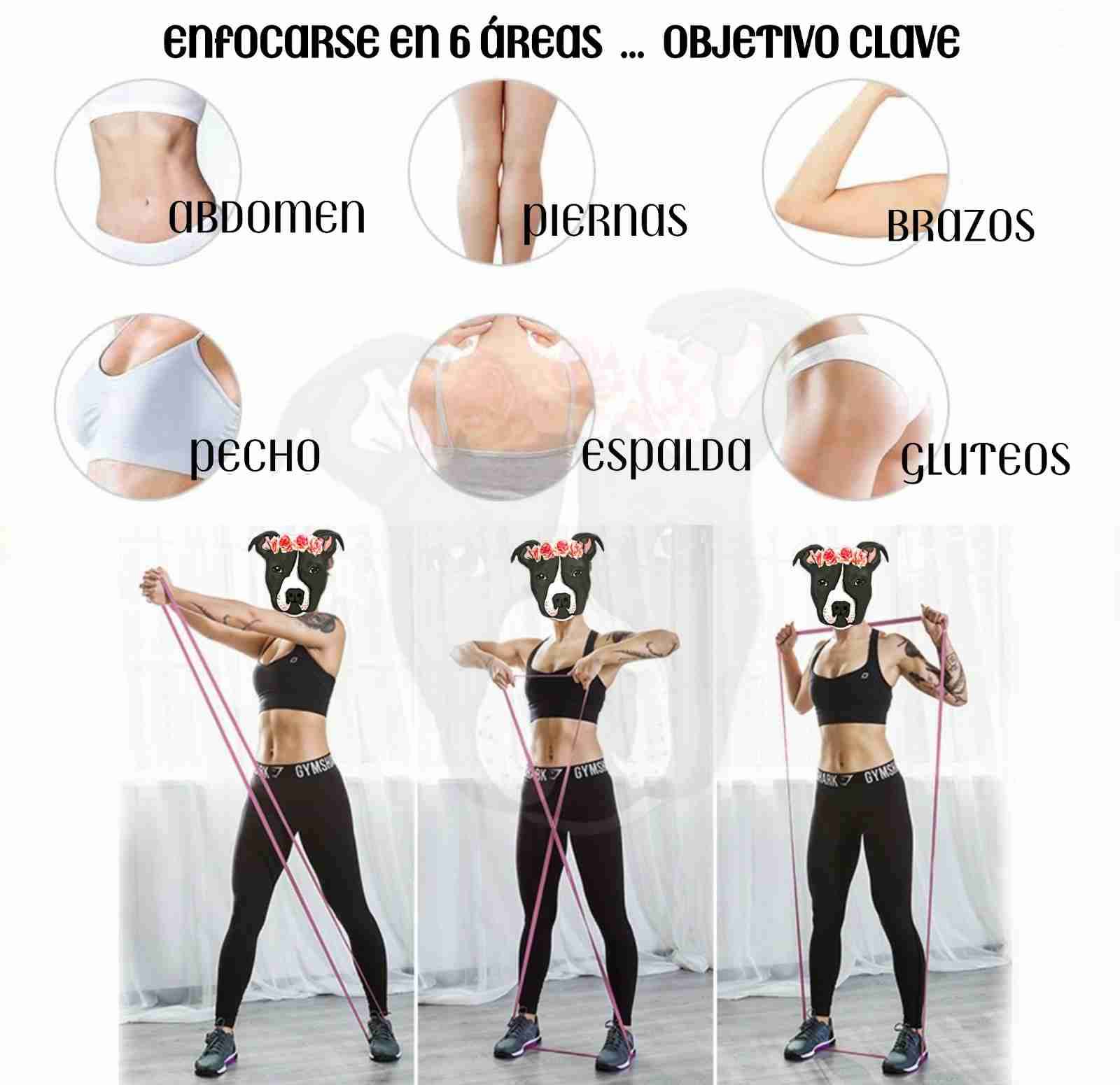 Bandas de resistencia de tela tejida. - miniatura 6