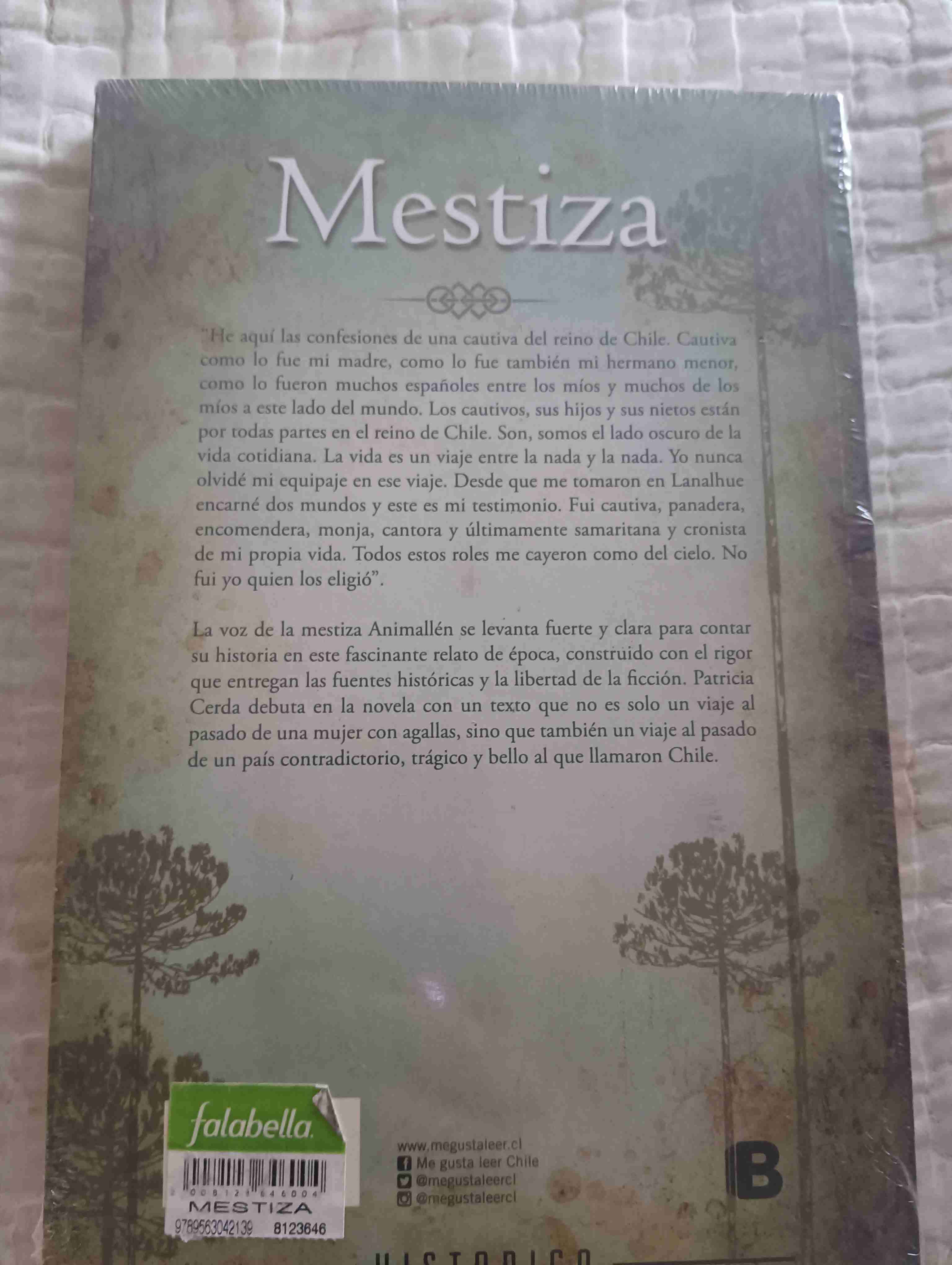 Libro Mestiza de Patricia Cerda - miniatura 2