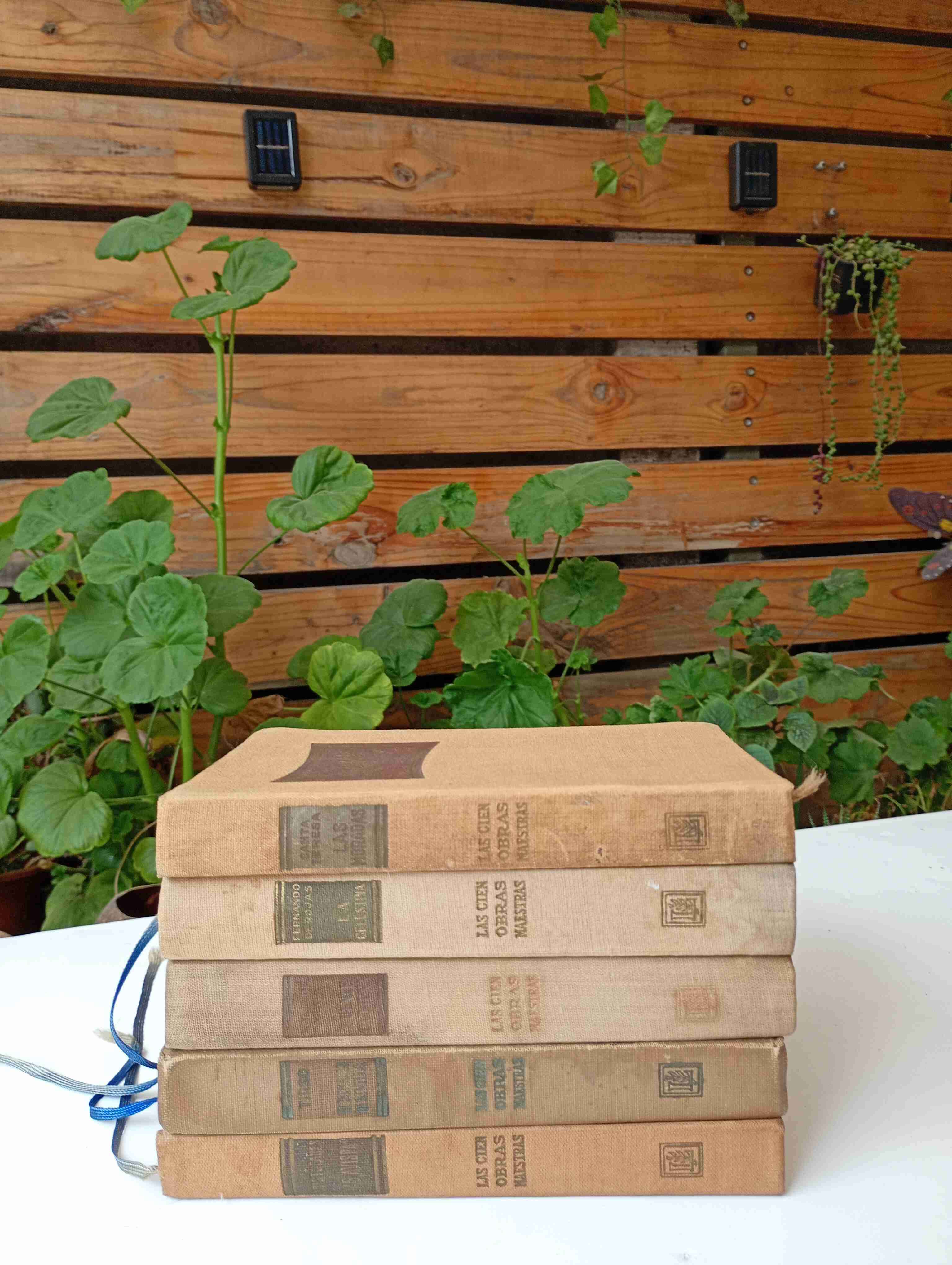 Colección de libros enciclopédicos vintage - miniatura 1