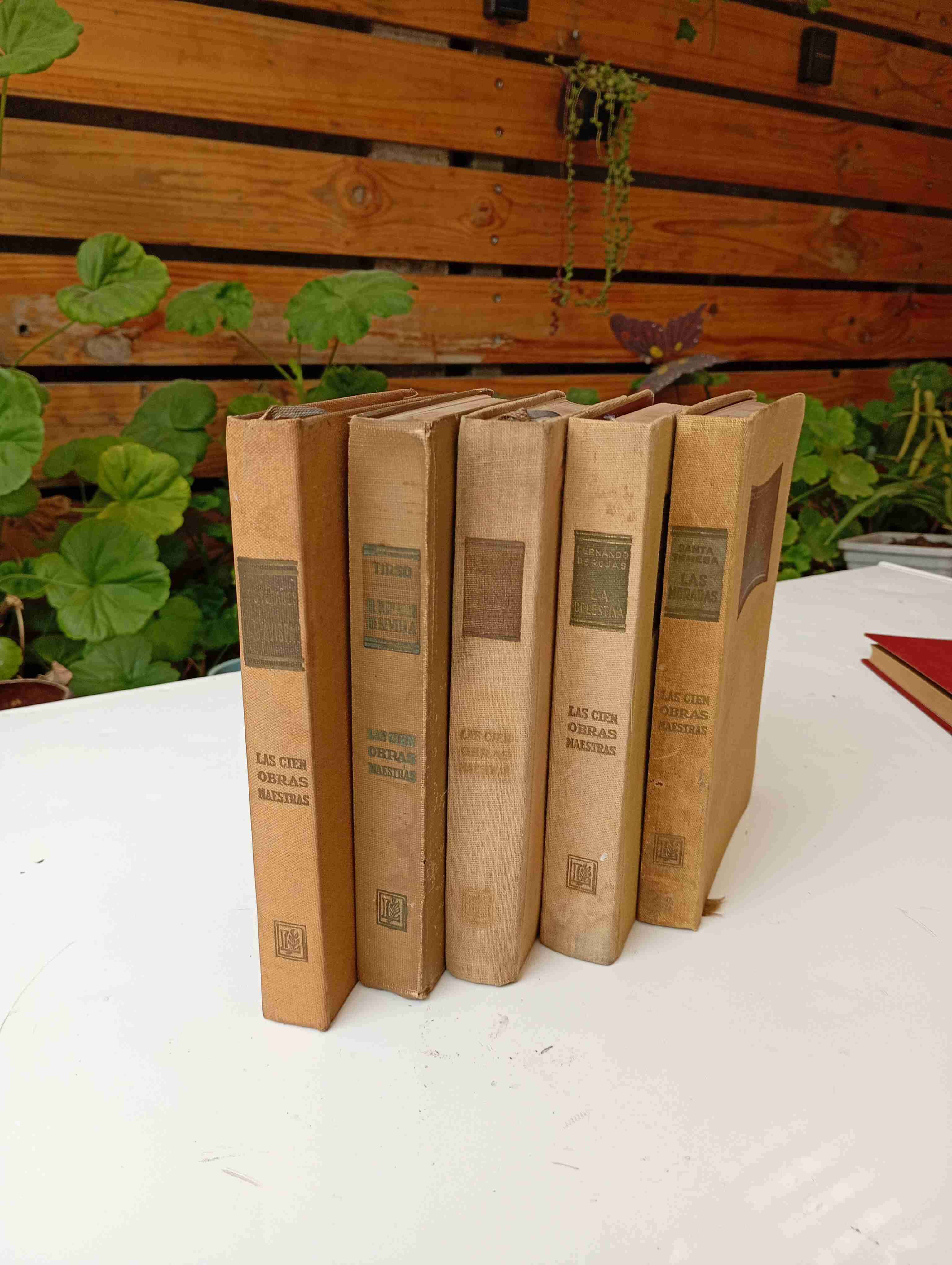 Colección de libros enciclopédicos vintage - miniatura 2