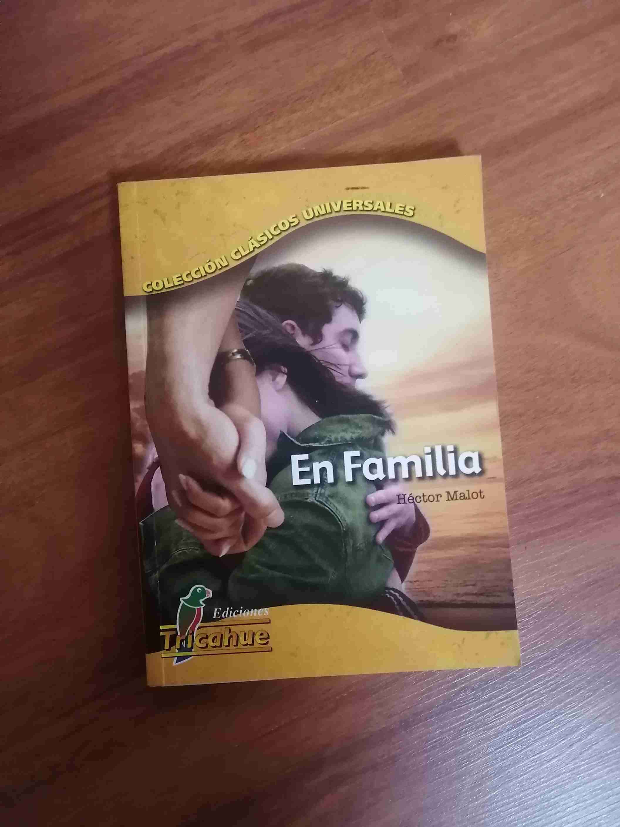 Libro 'En Familia' Héctor Malot - miniatura 1