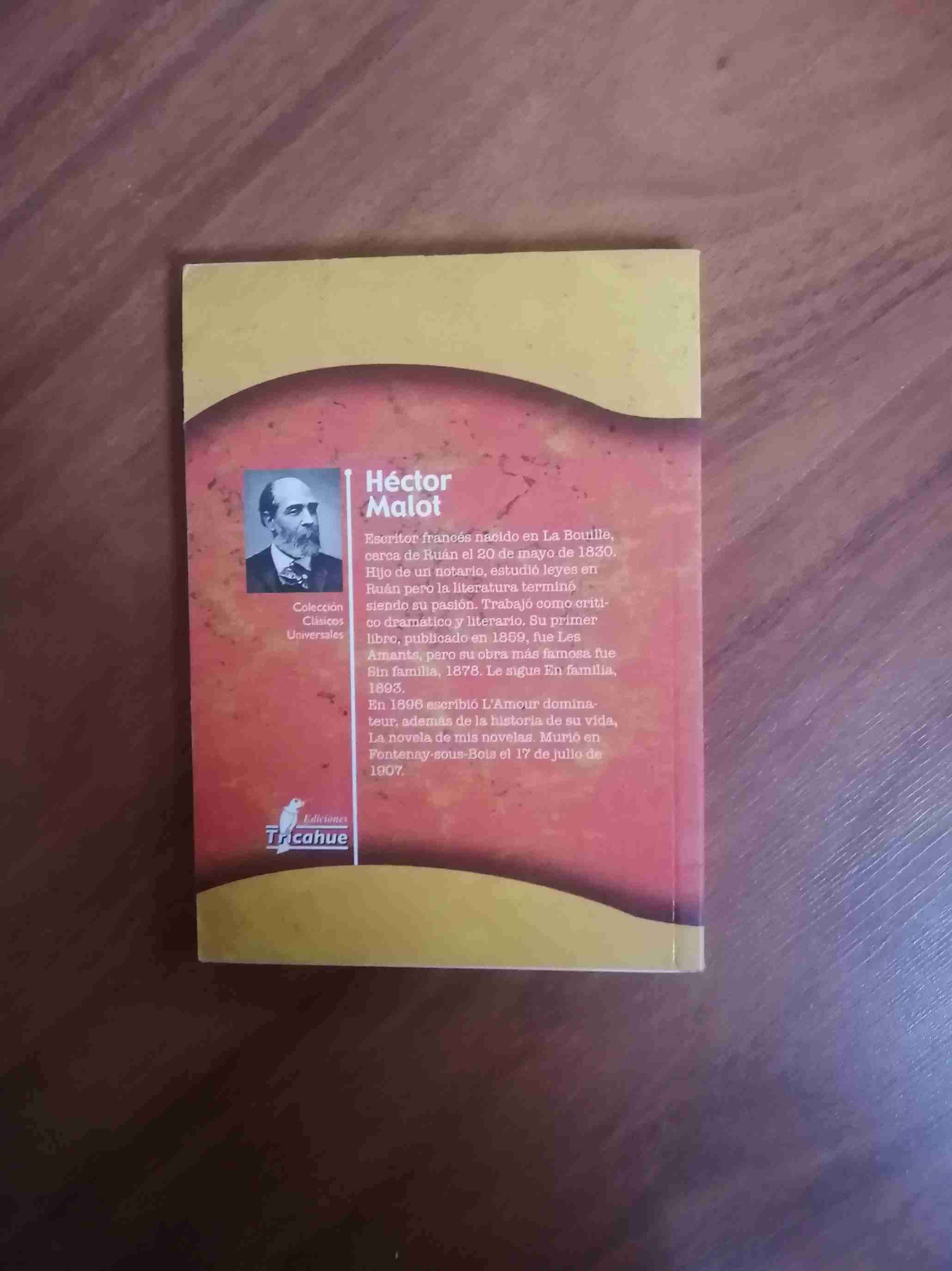 Libro 'En Familia' Héctor Malot - miniatura 2