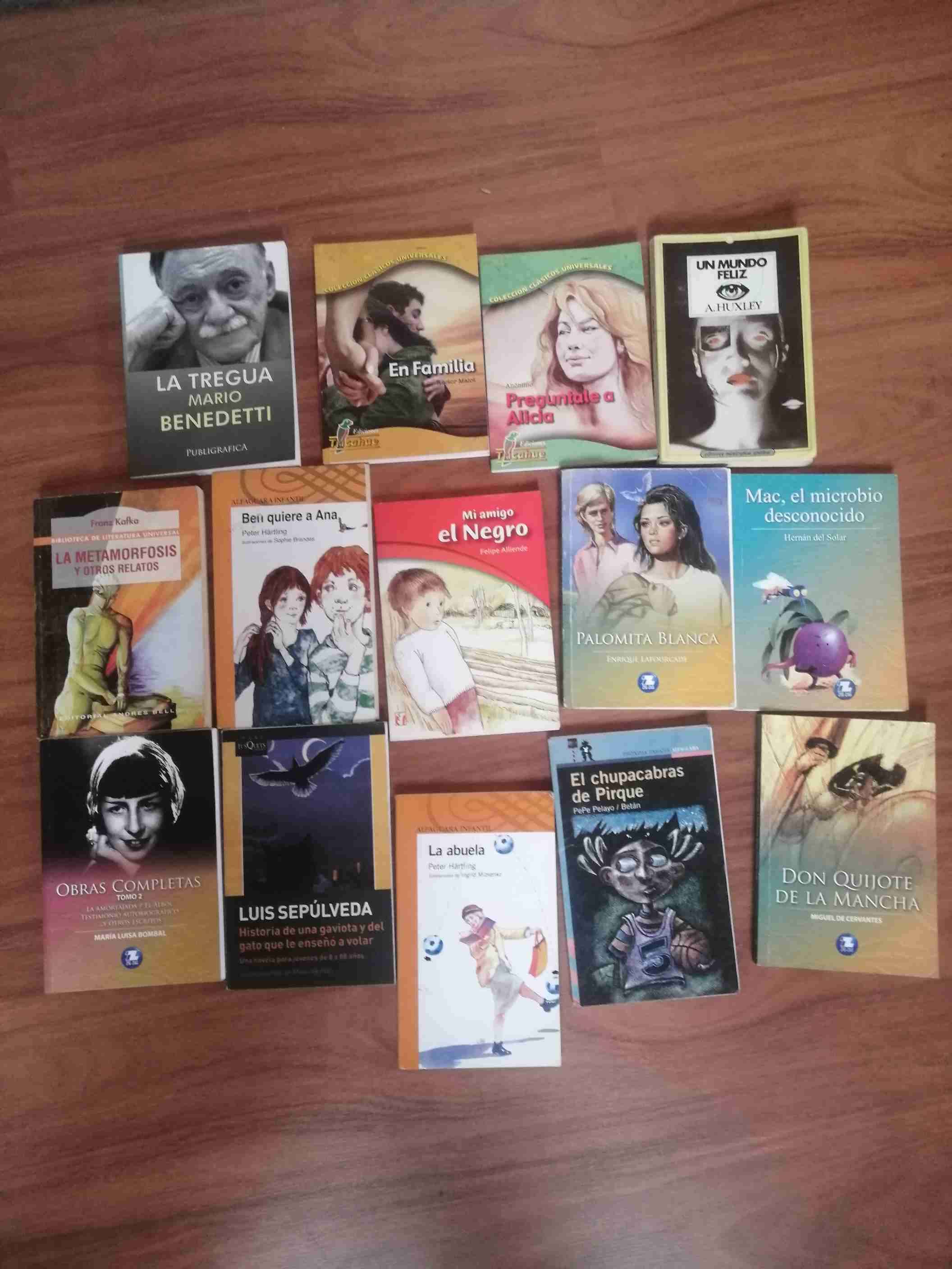 Lote de libros variados