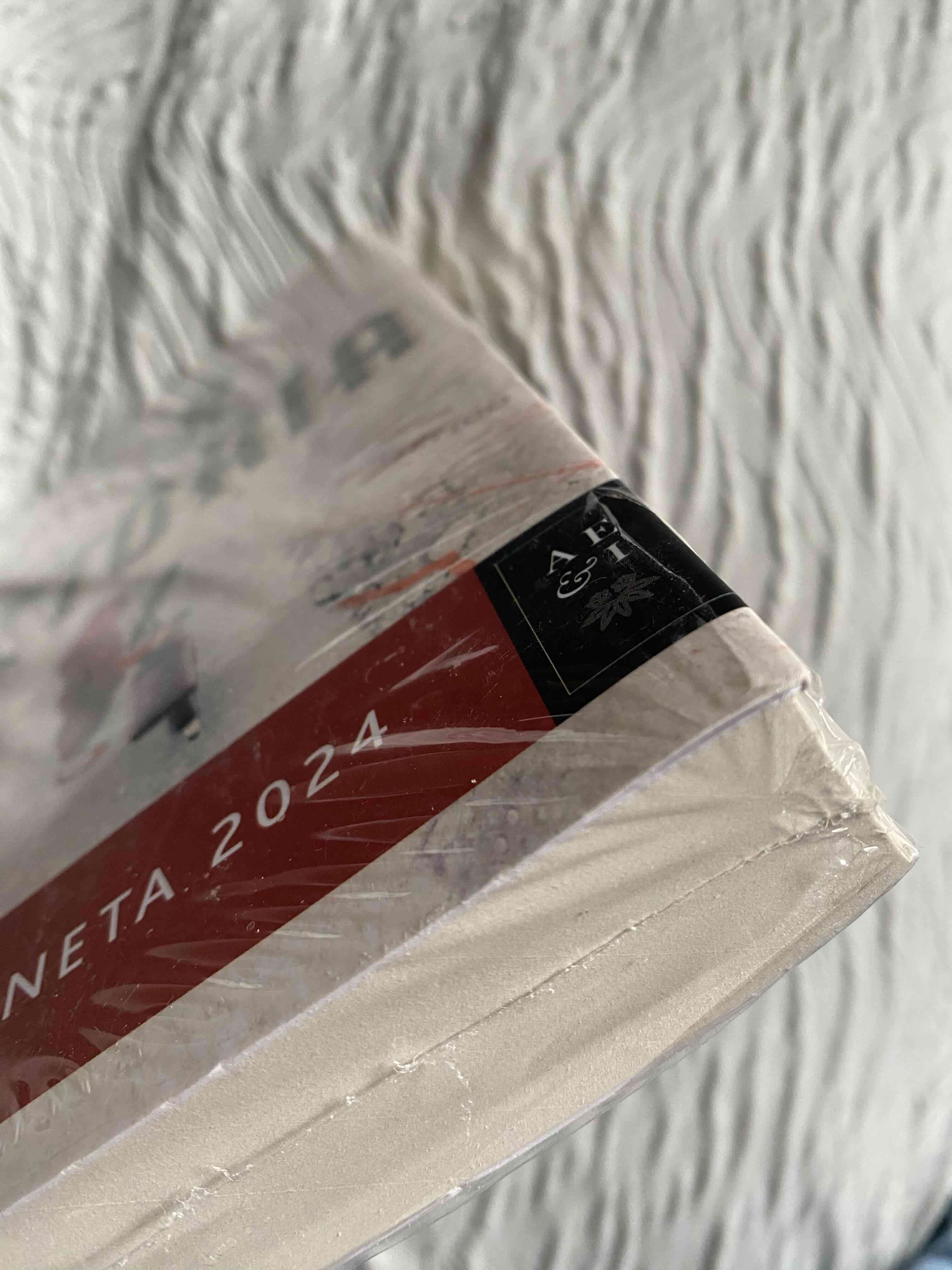 NUEVO Libro 'Victoria' de Sánchez-Garnica - miniatura 3