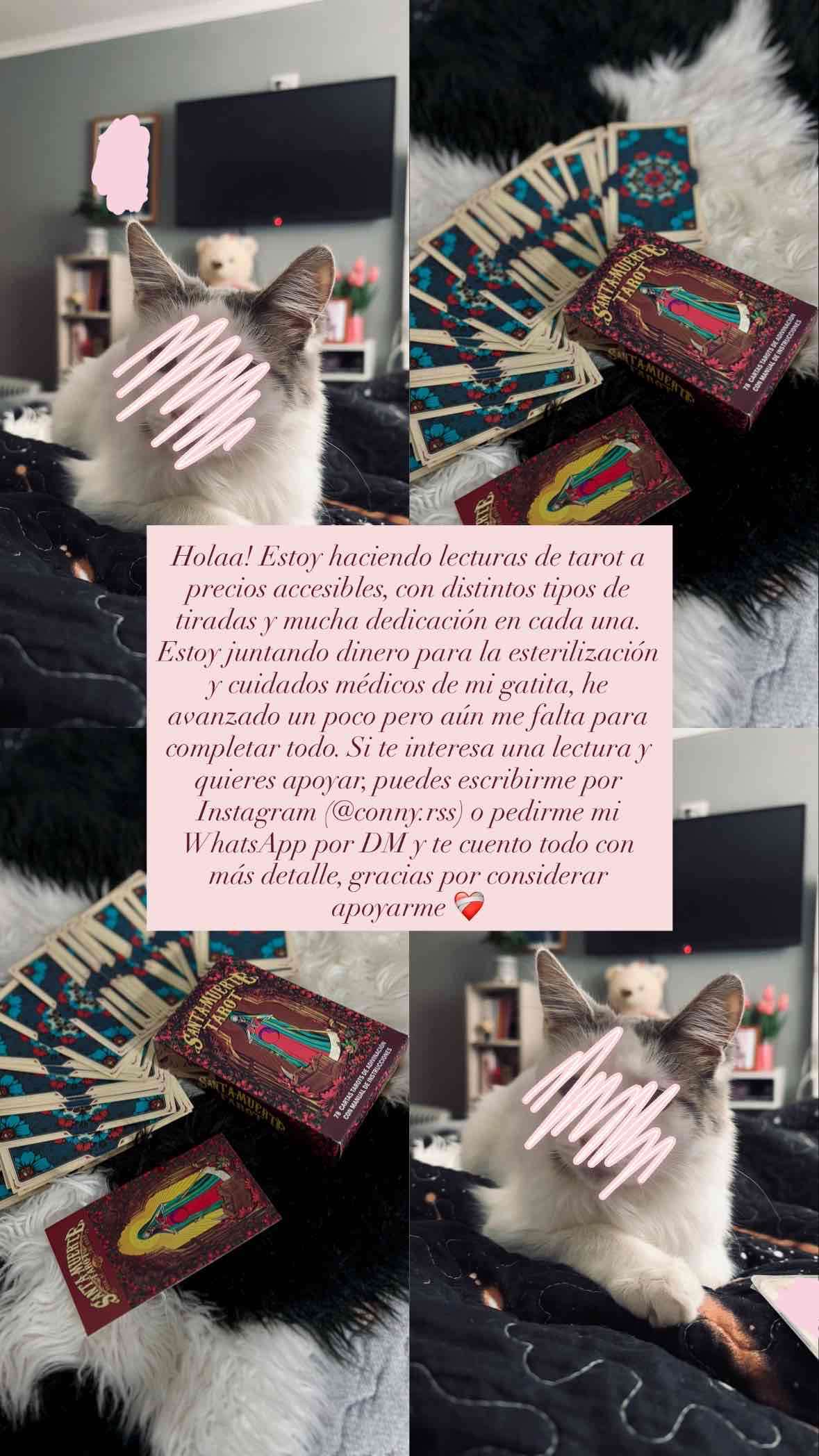 Lecturas Tarot Santa Muerte