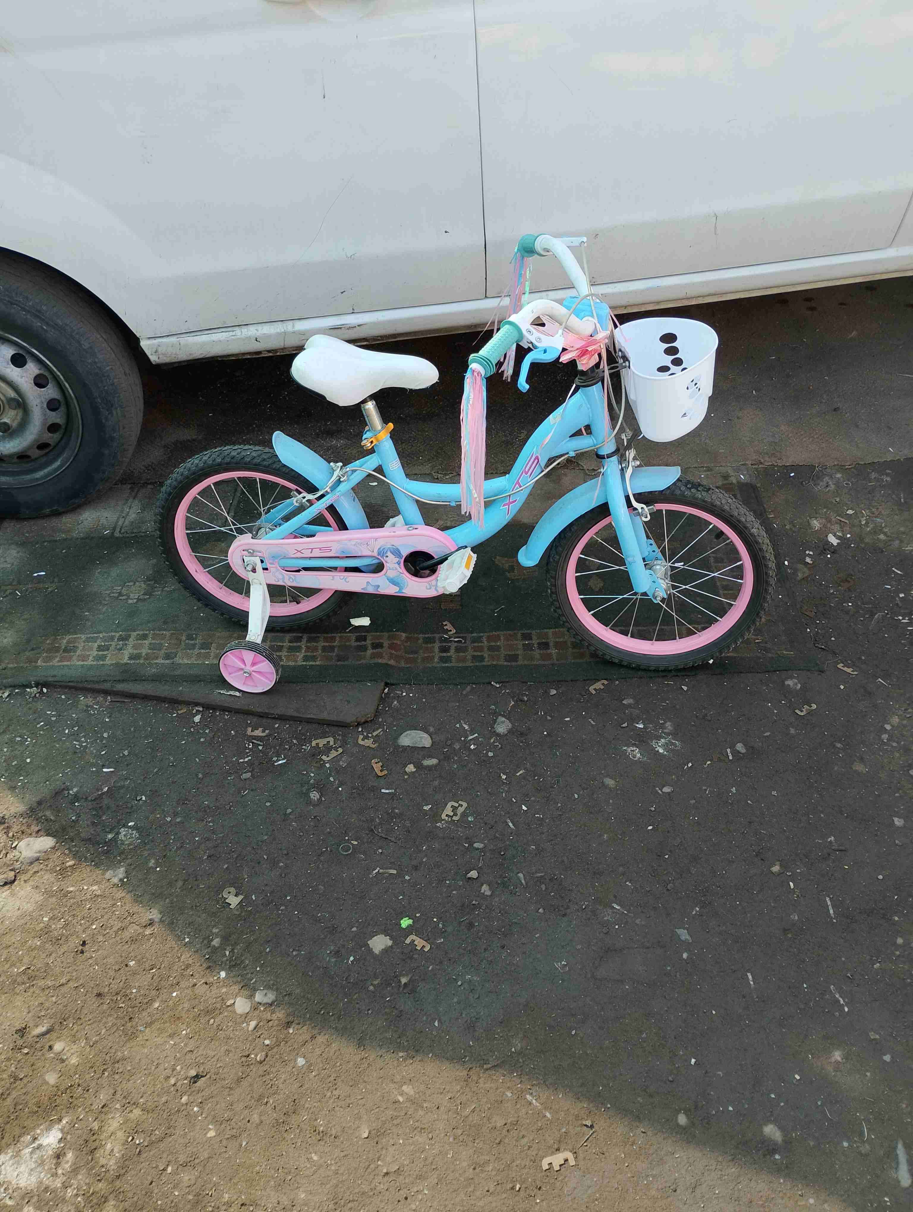 Bicicleta infantil azul y rosada - miniatura 1