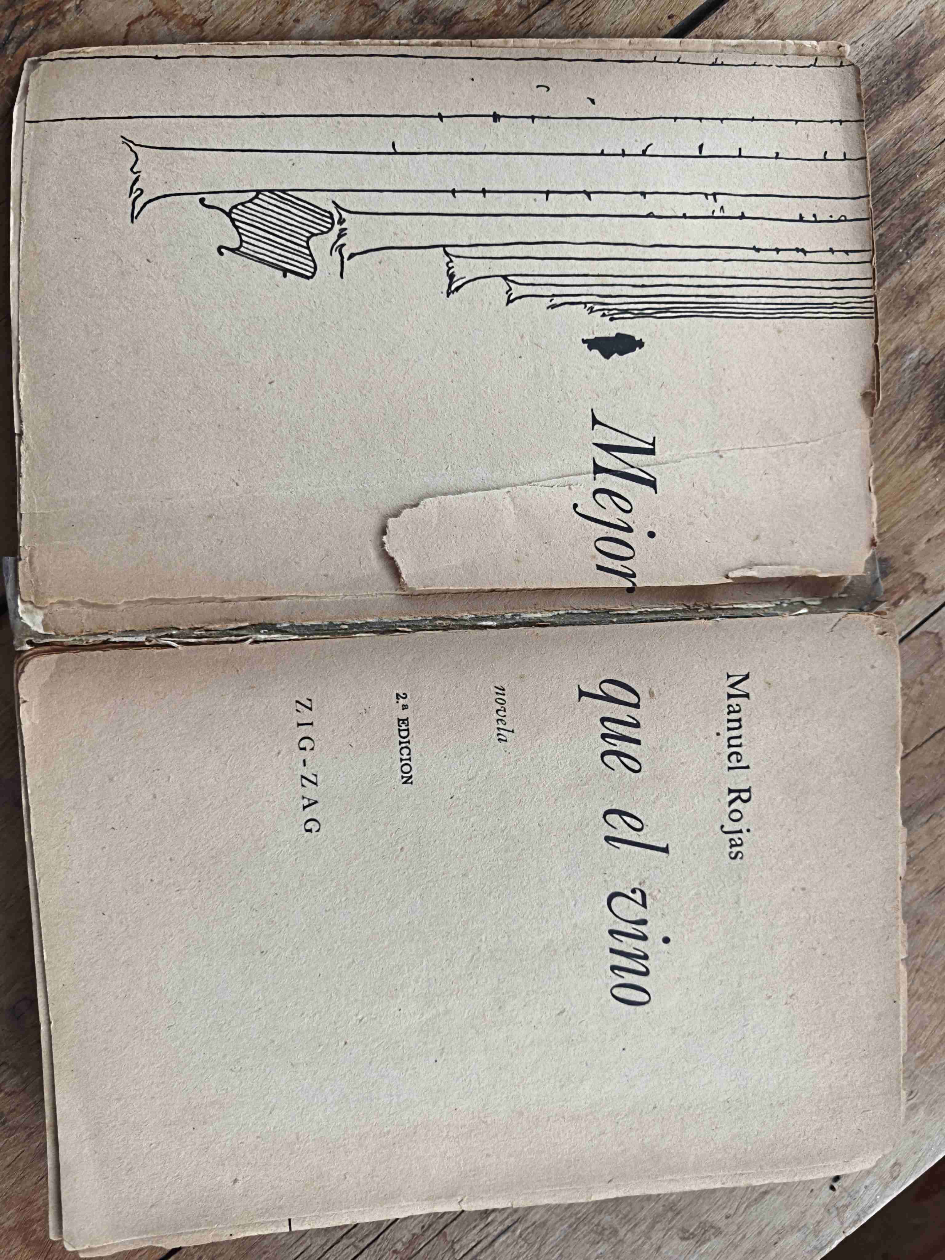 Mejor que el vino de Manuel Rojas - miniatura 2