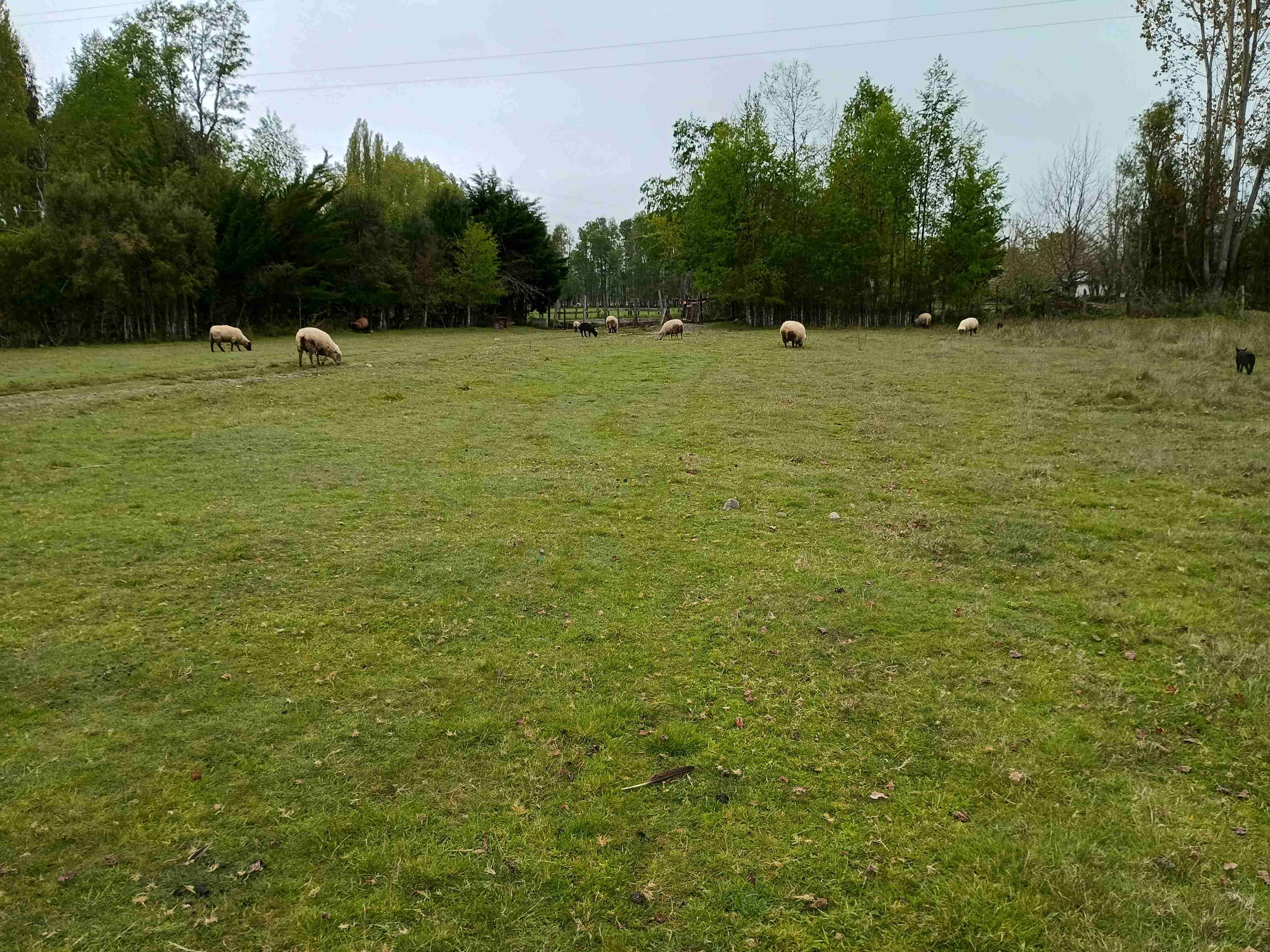 Parcela 1 ha. 10.000 m2 - miniatura 1