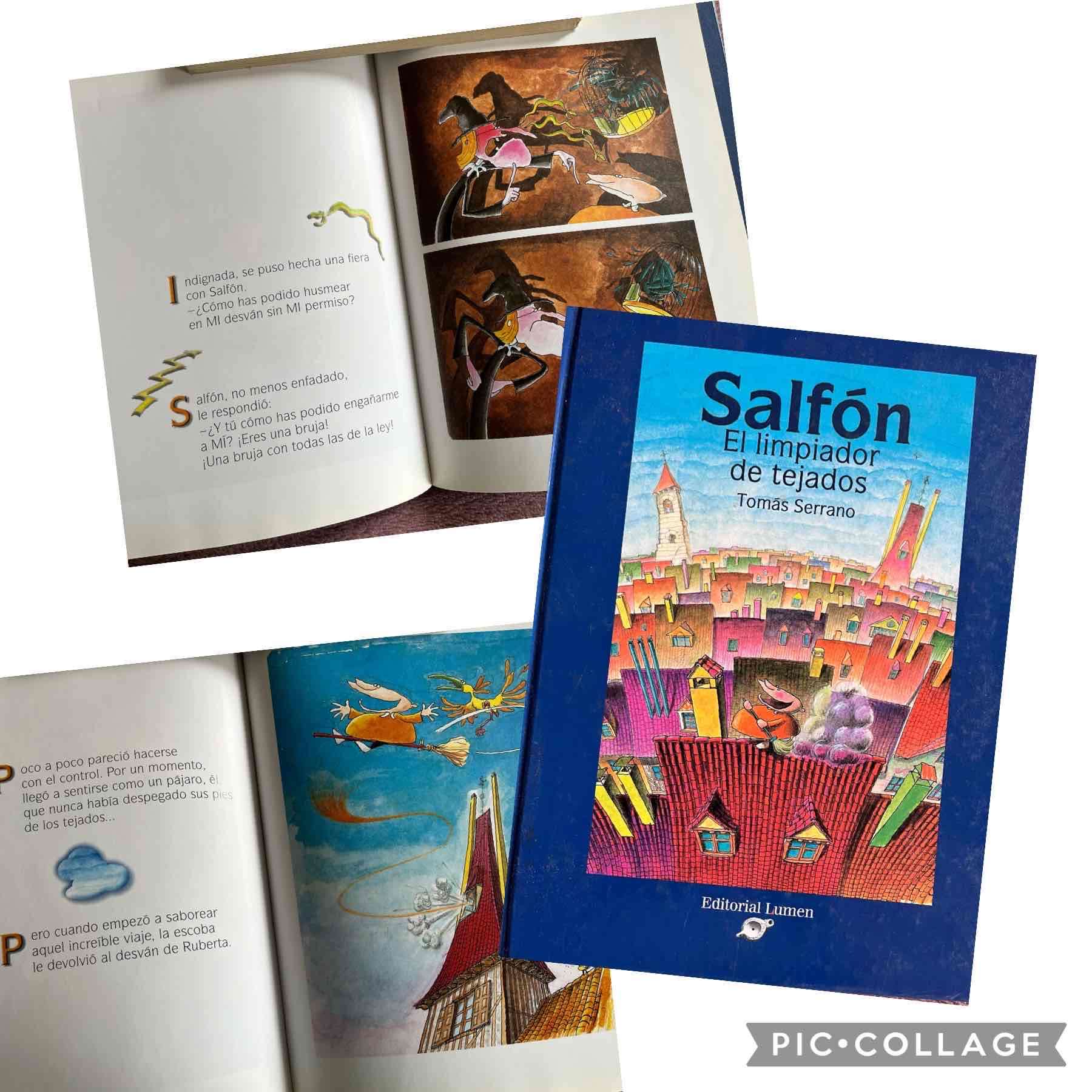 Libro Salfón El limpiador de tejados