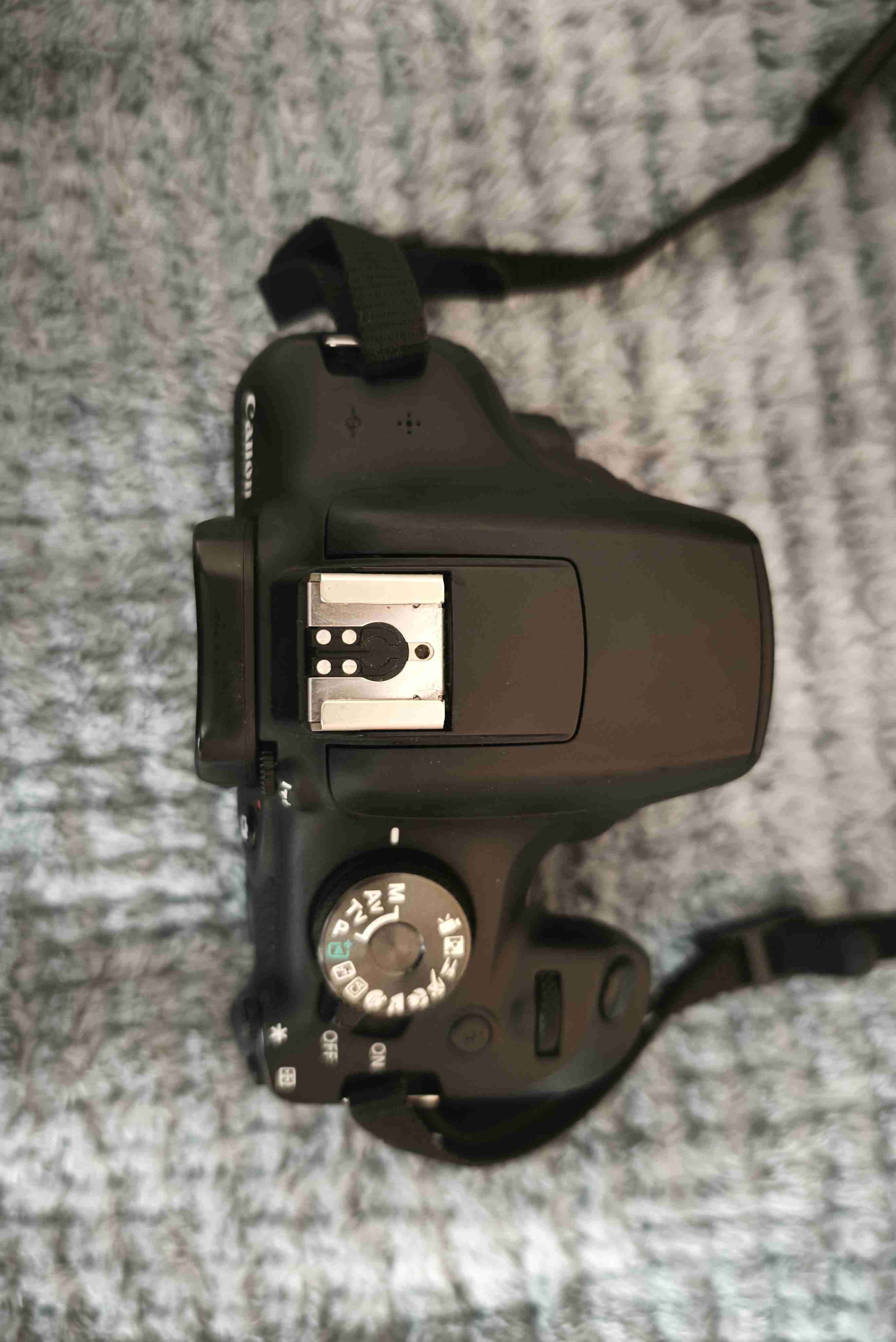 Cámara Canon EOS Rebel T7 - miniatura 3