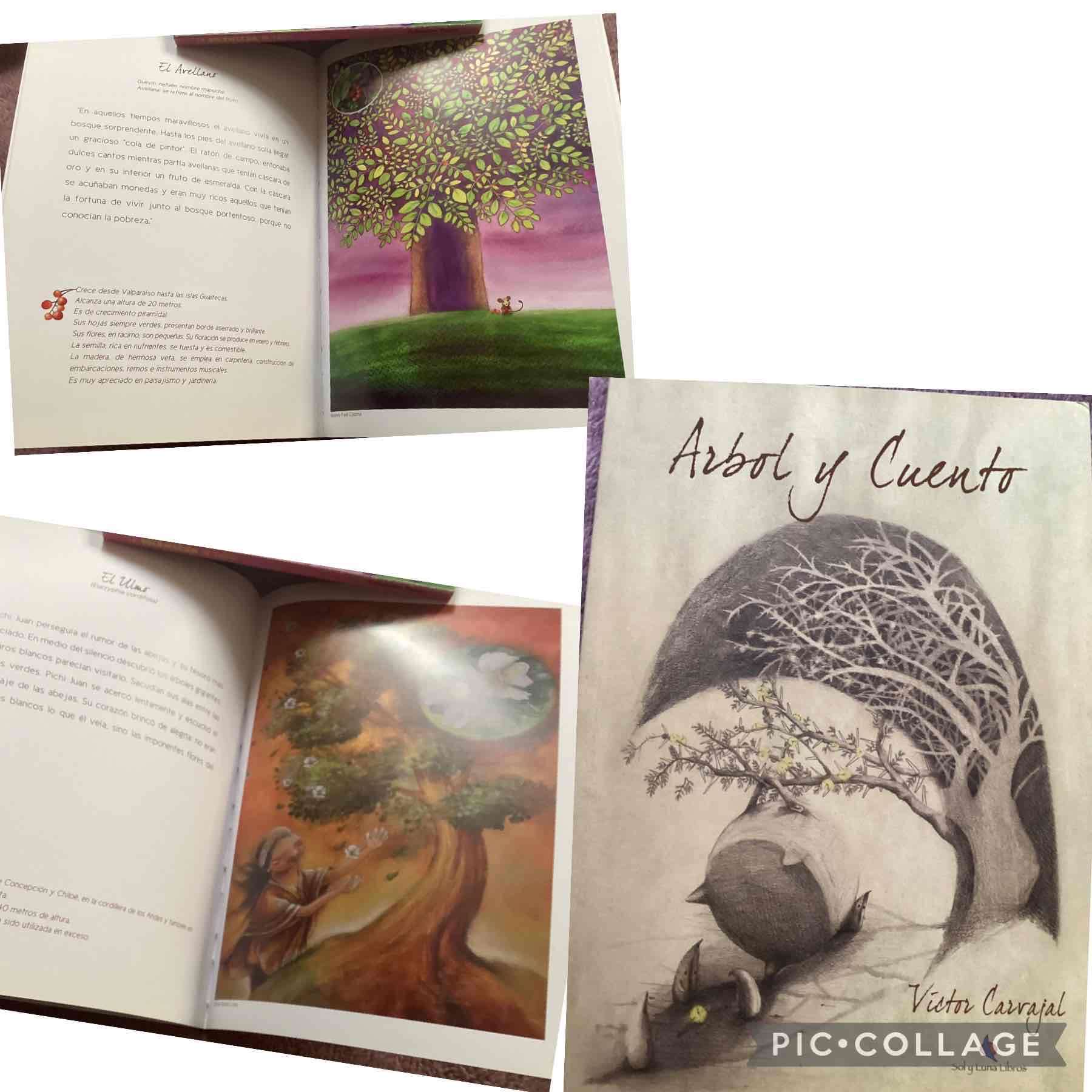 Libro Árbol y Cuento ilustrado