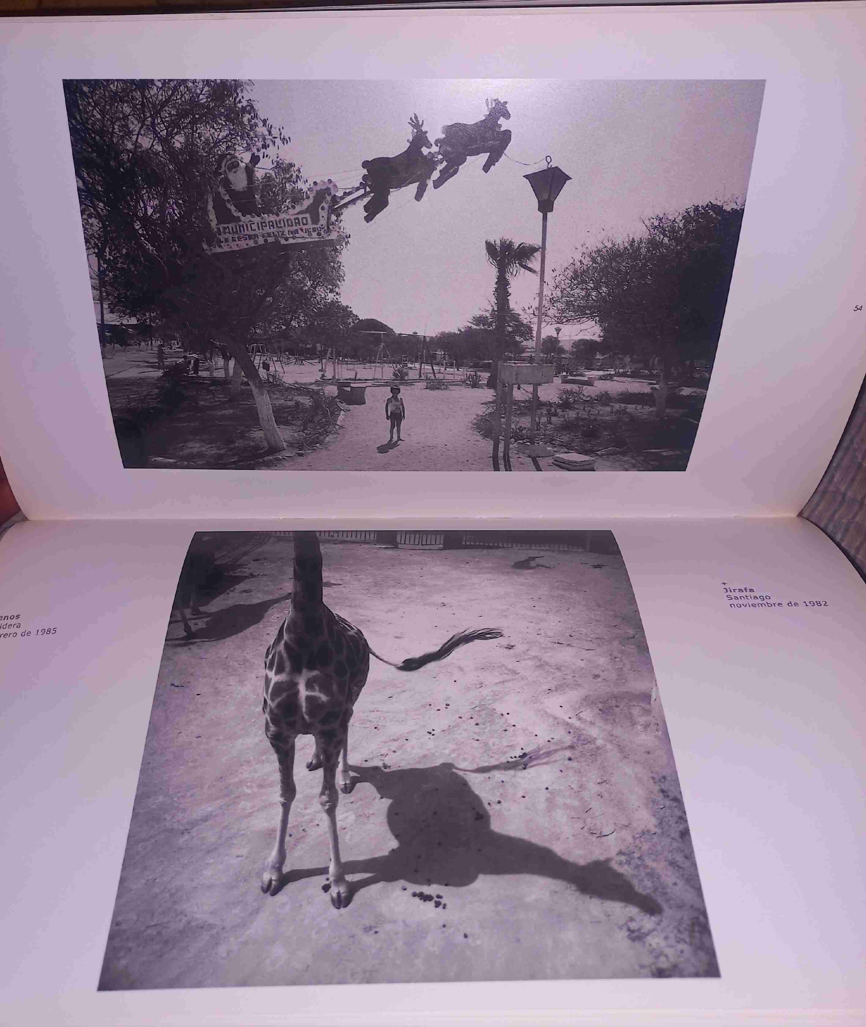 Libro Breve Historia Natural - miniatura 4