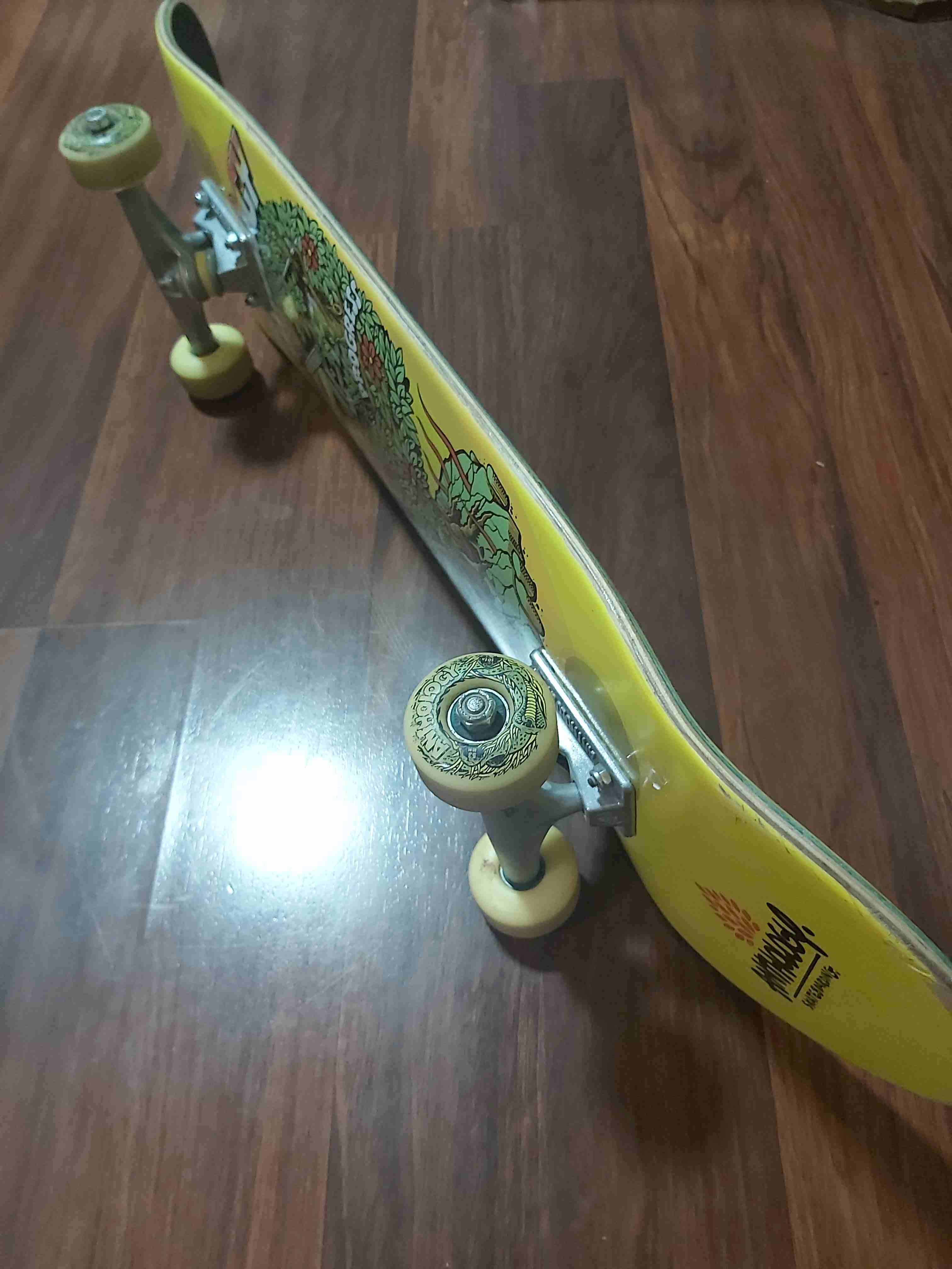 Patineta Anthology - miniatura 4