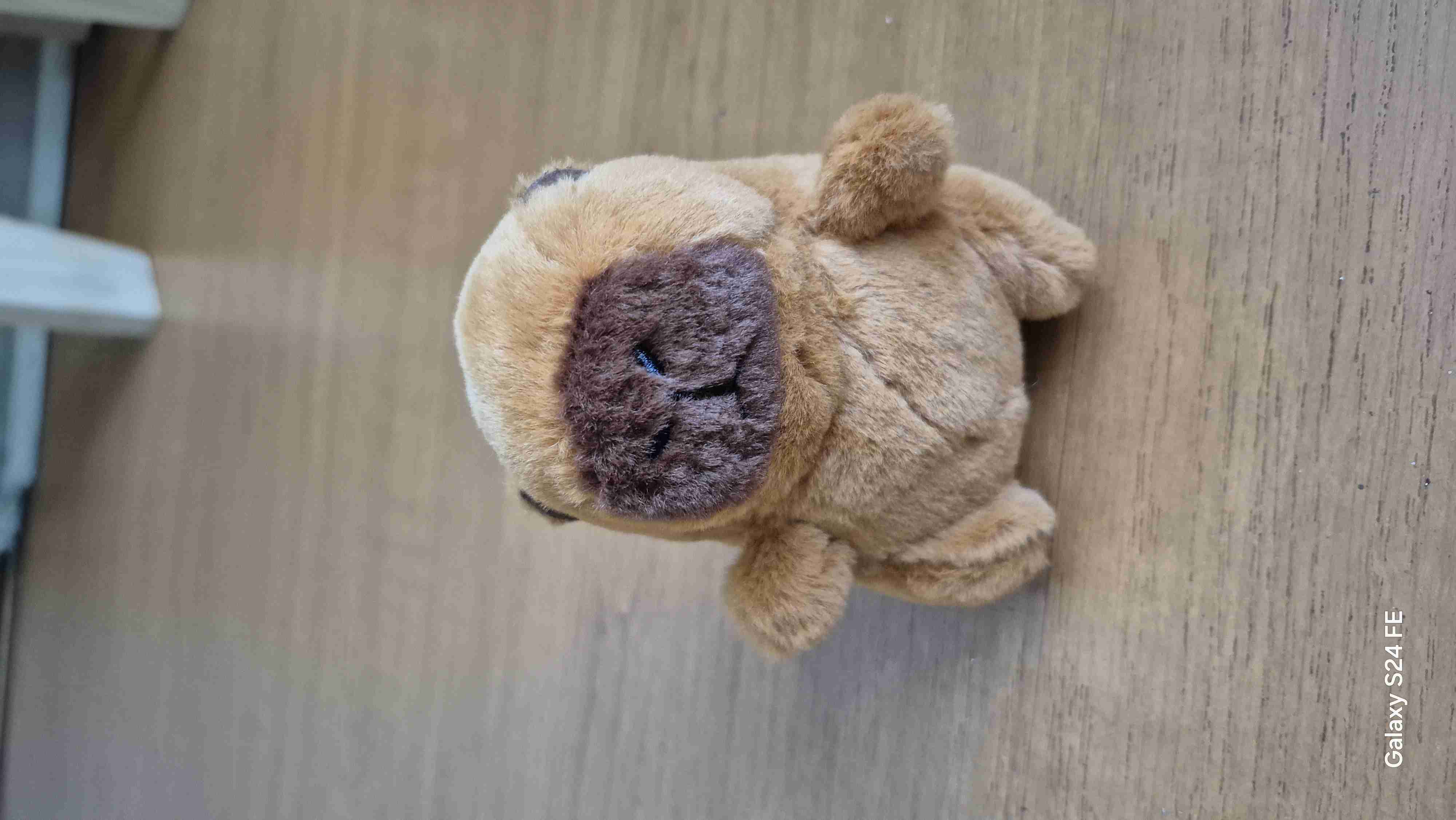 Peluche pequeño marrón - miniatura 2