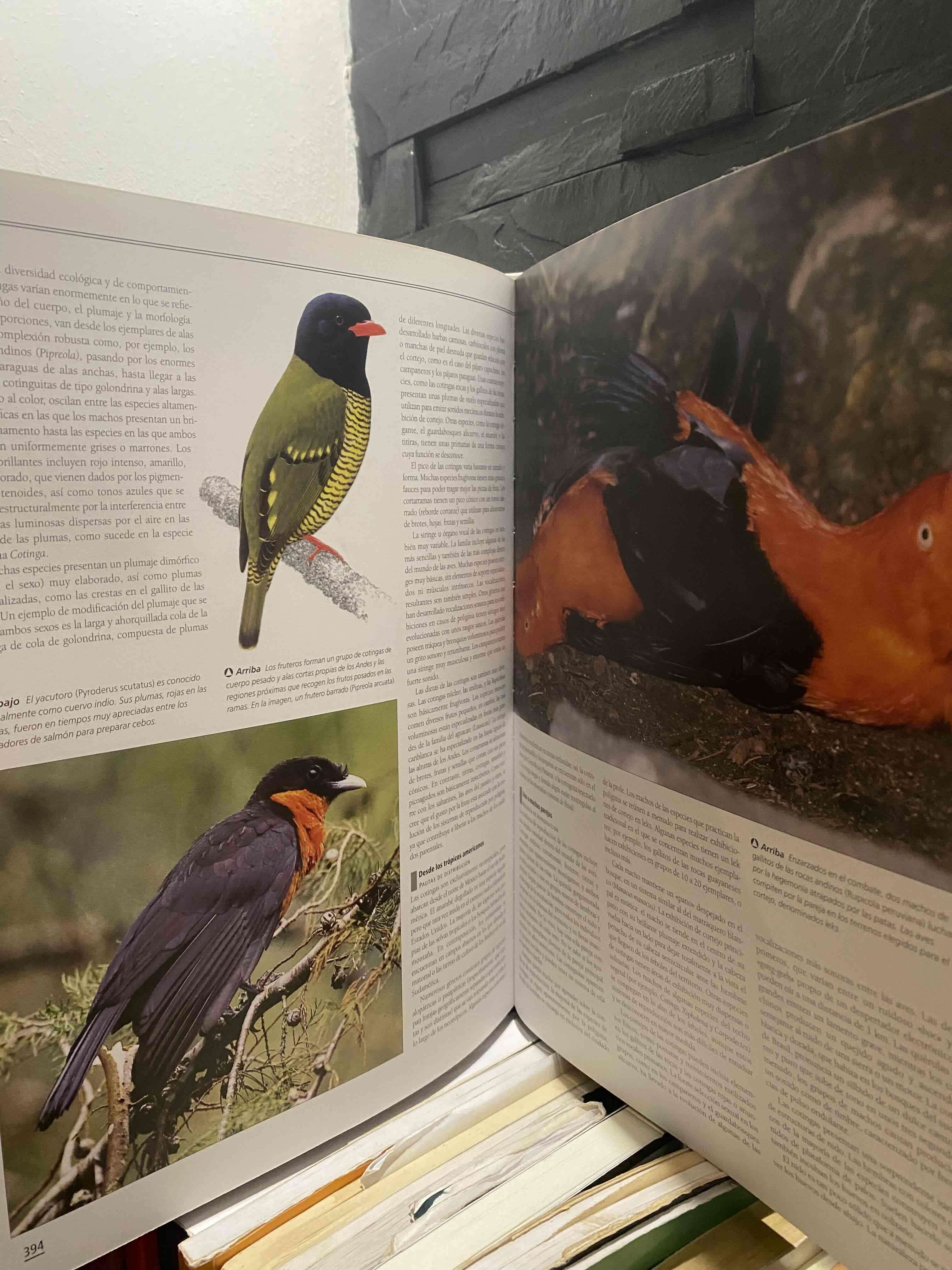 Enciclopedia Completa de las Aves - miniatura 5